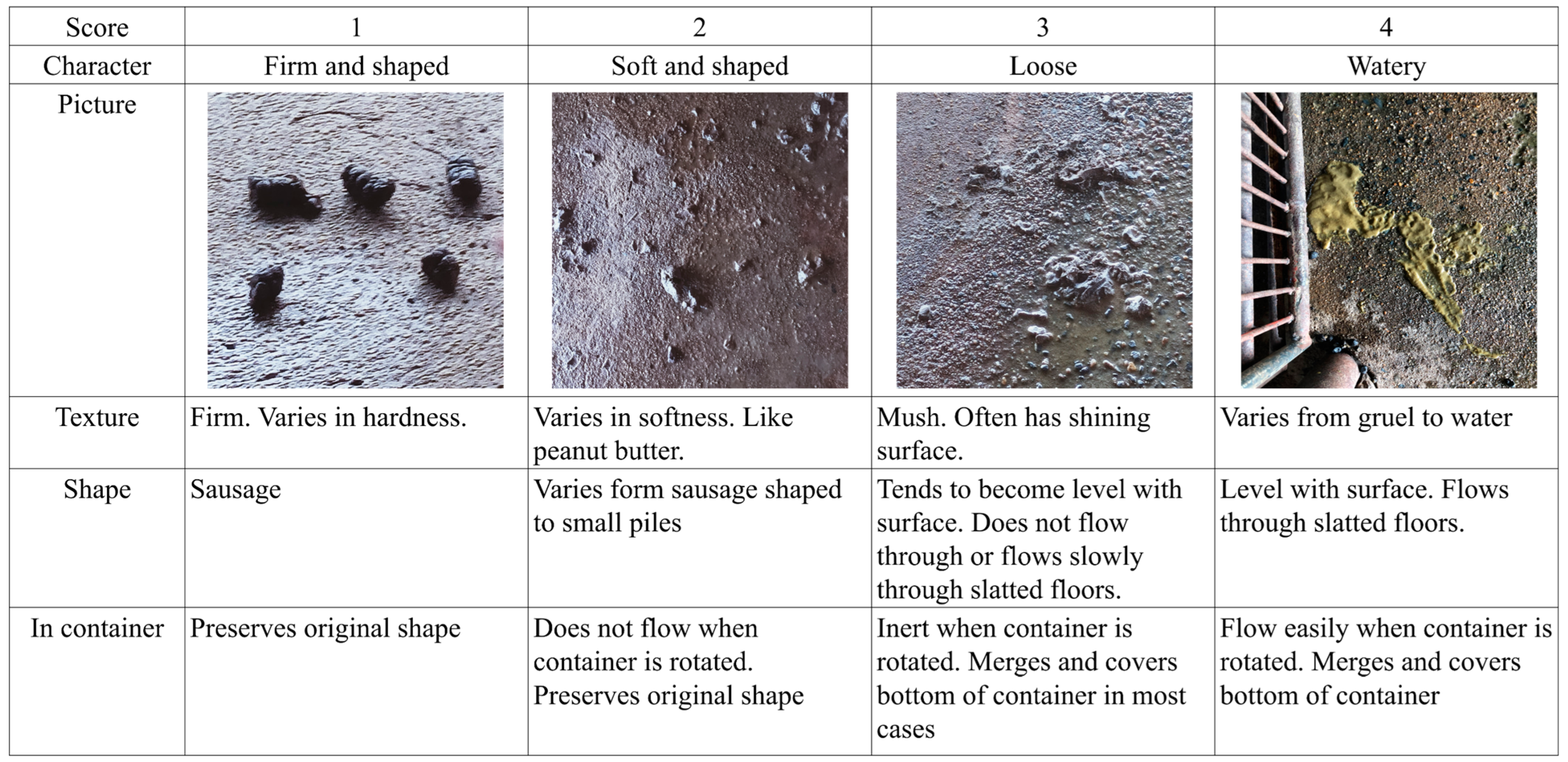 Animals 15 01258 g001