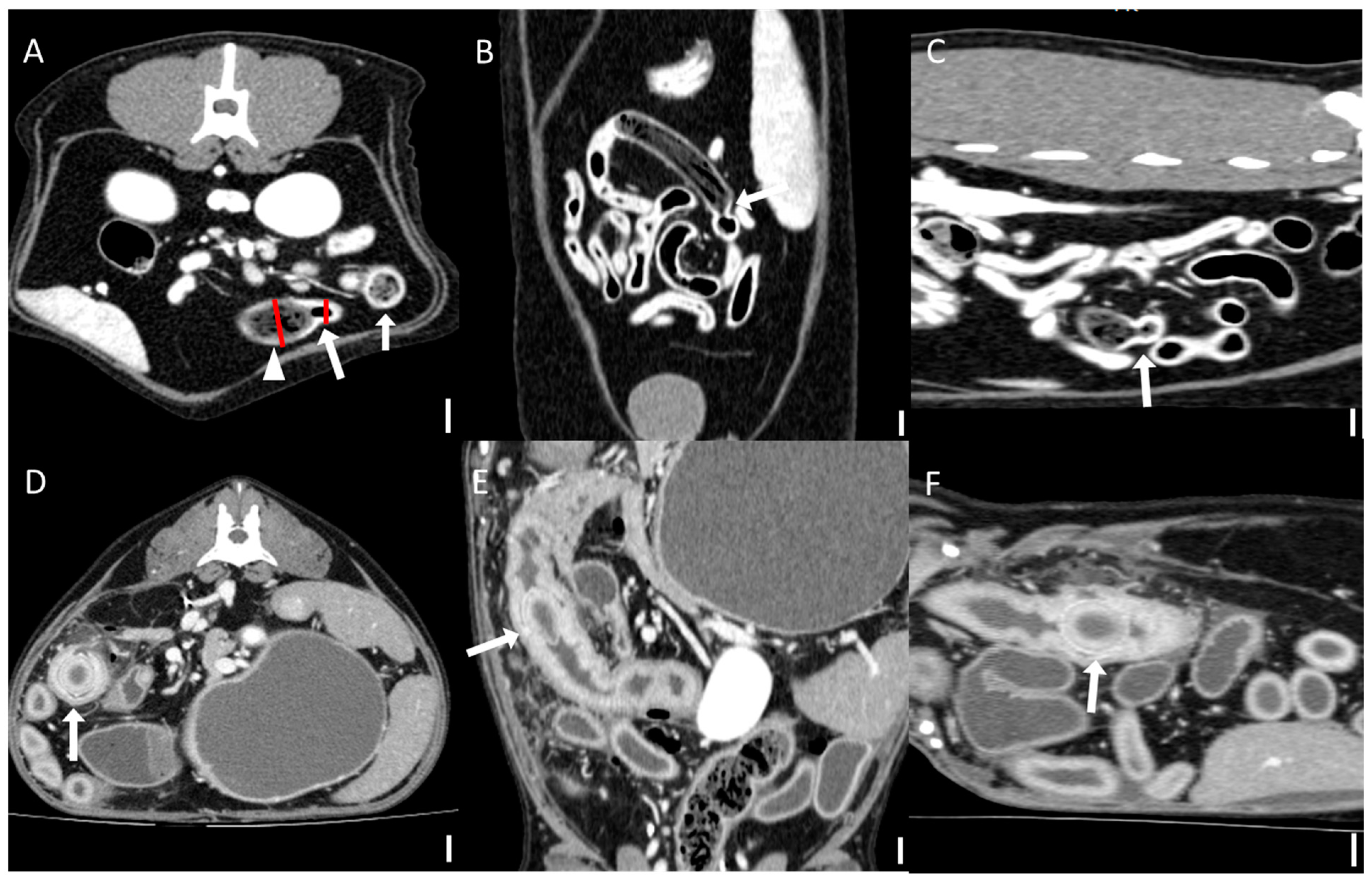 Animals 15 01260 g001