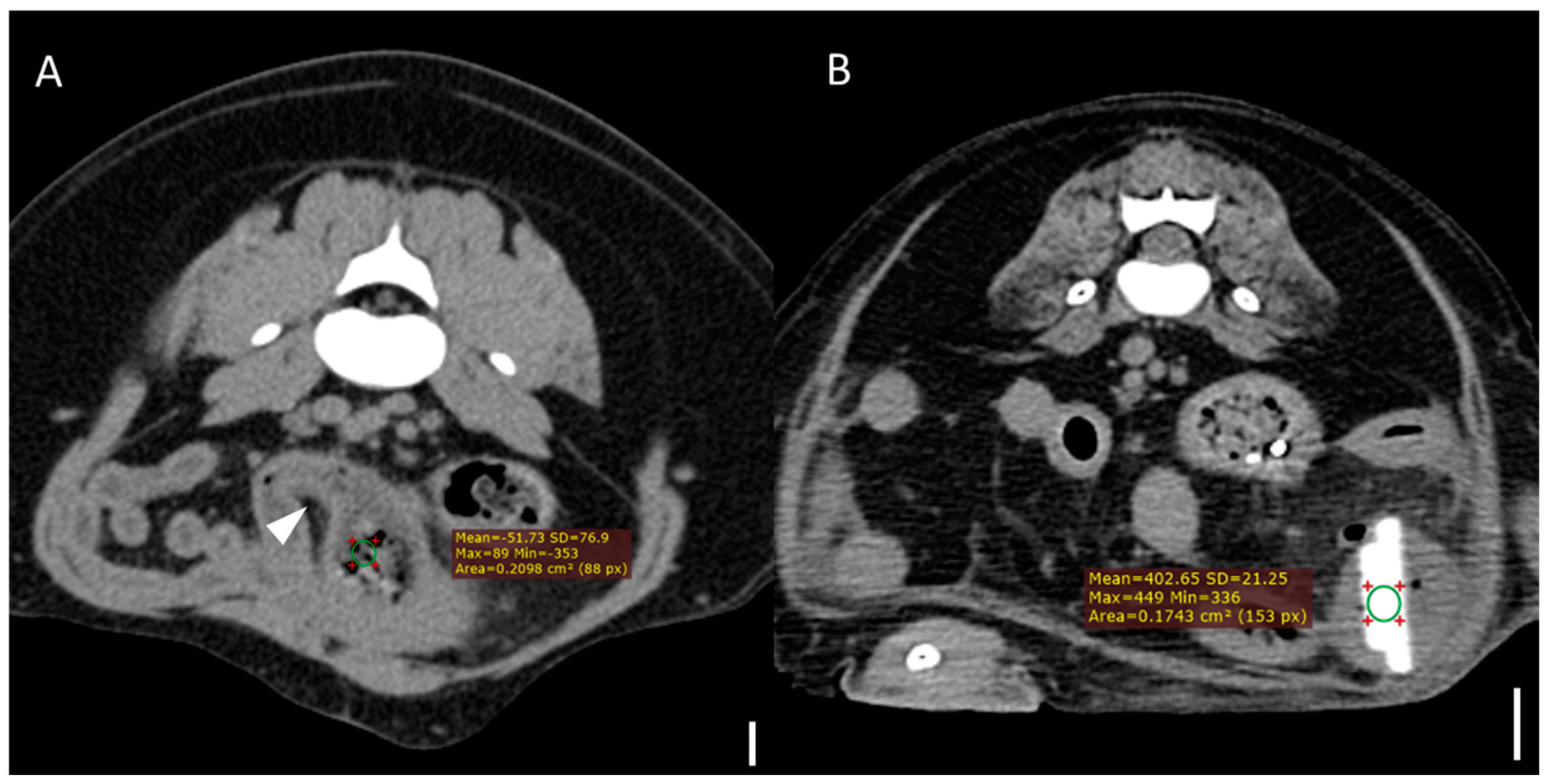 Animals 15 01260 g002