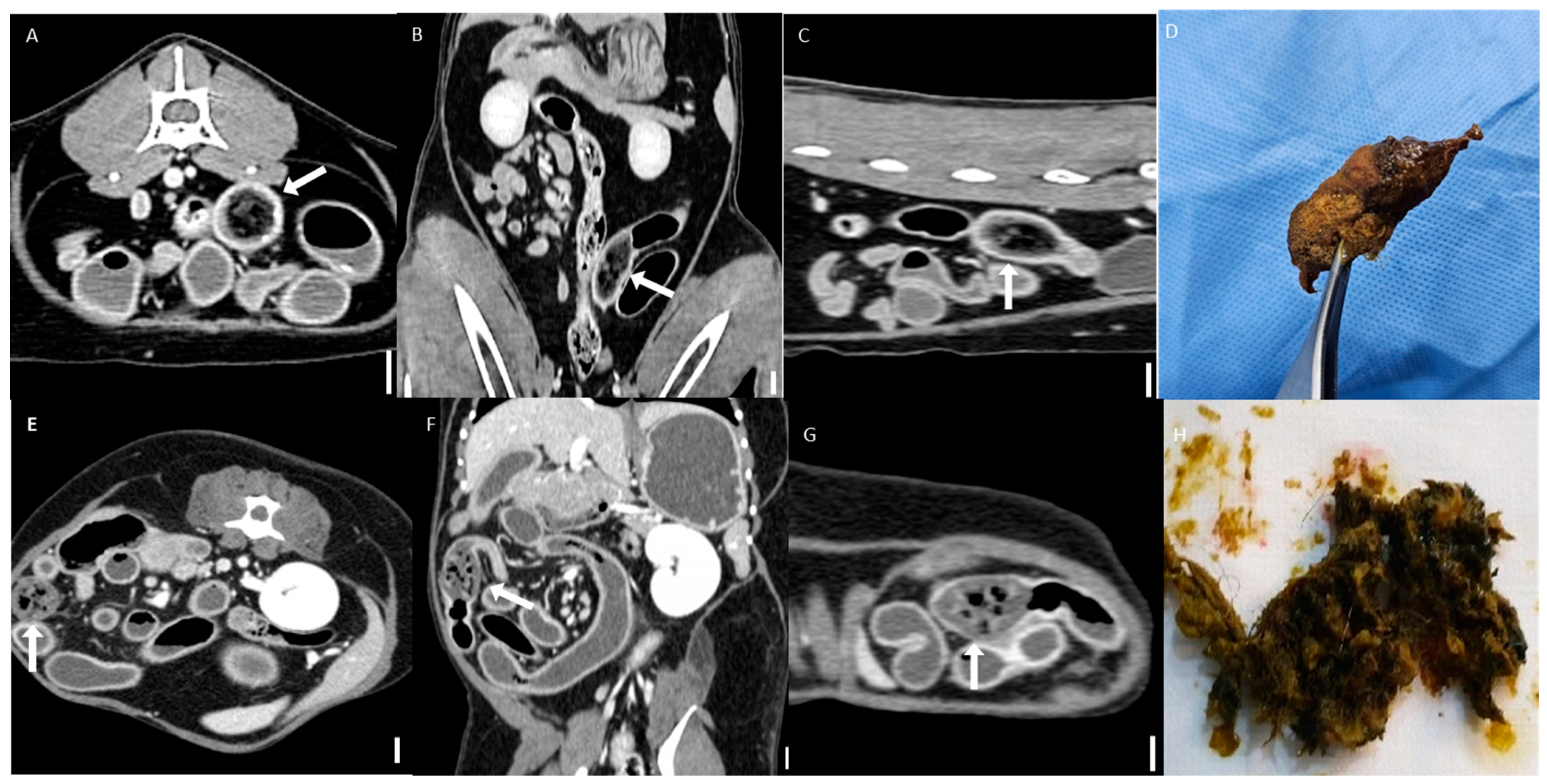 Animals 15 01260 g005