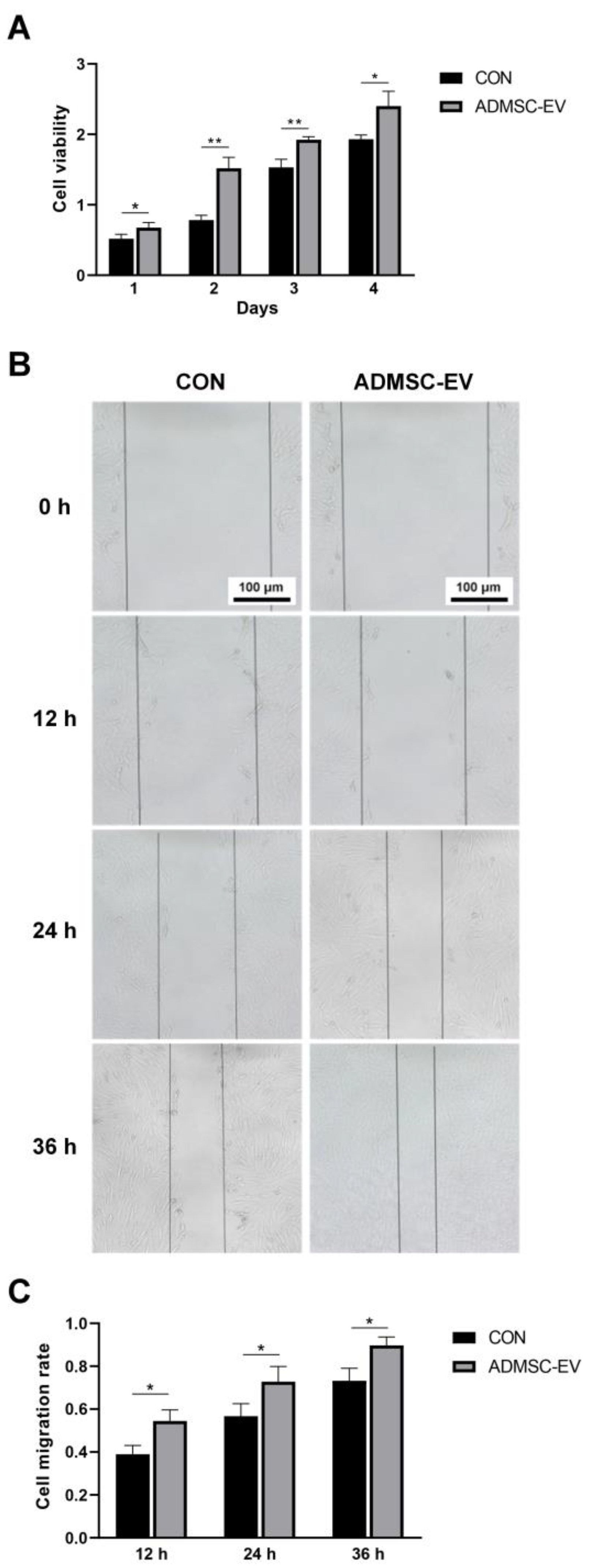 Animals 15 01270 g005