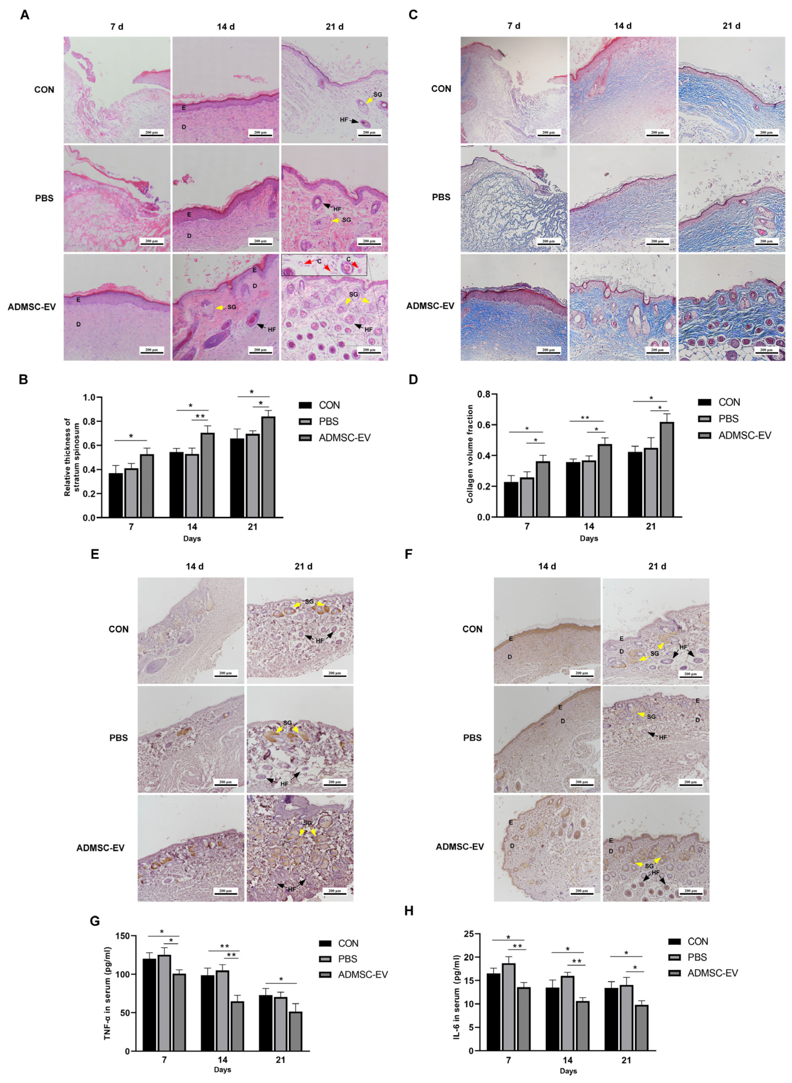 Animals 15 01270 g007