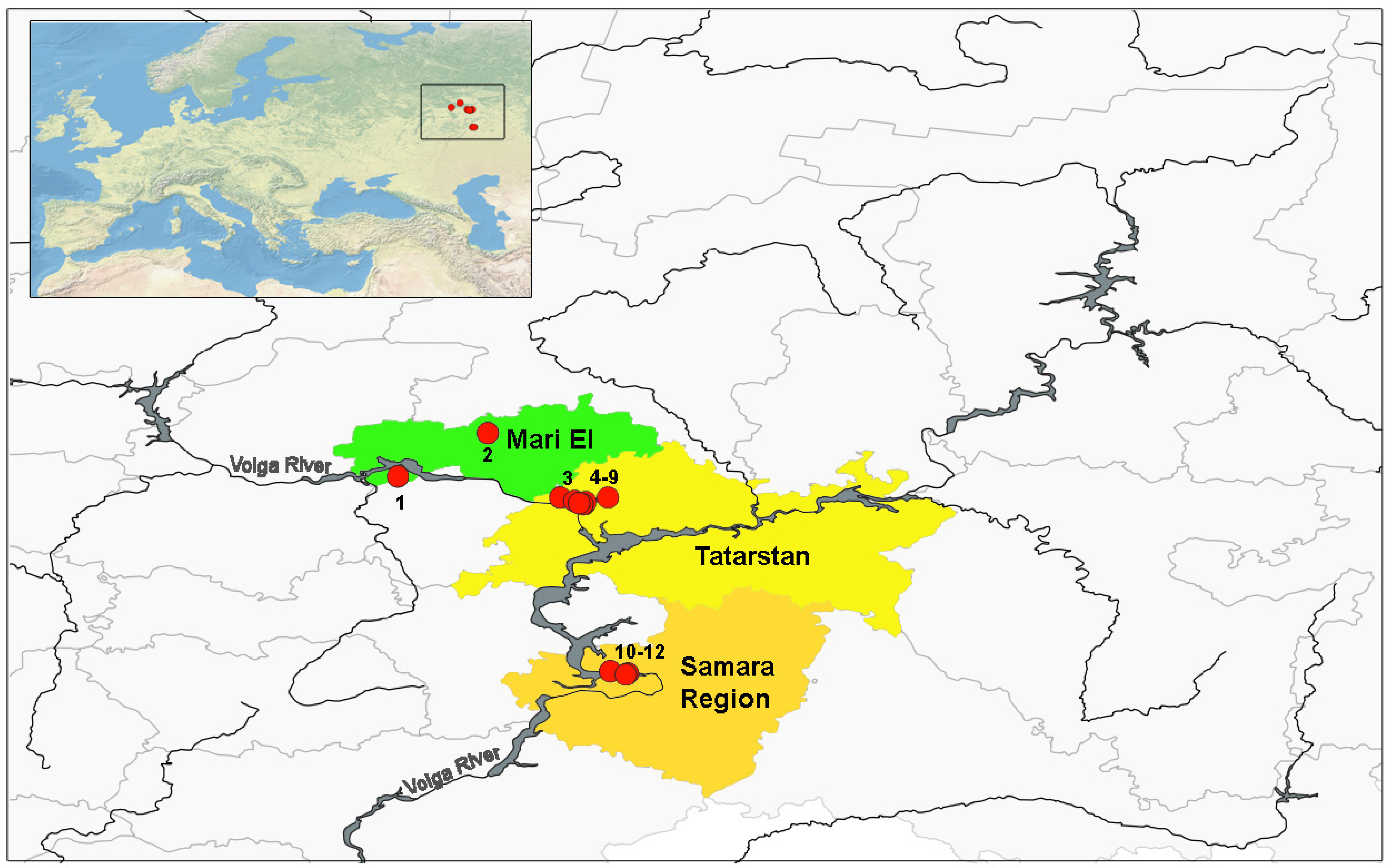 Animals 15 01273 g001