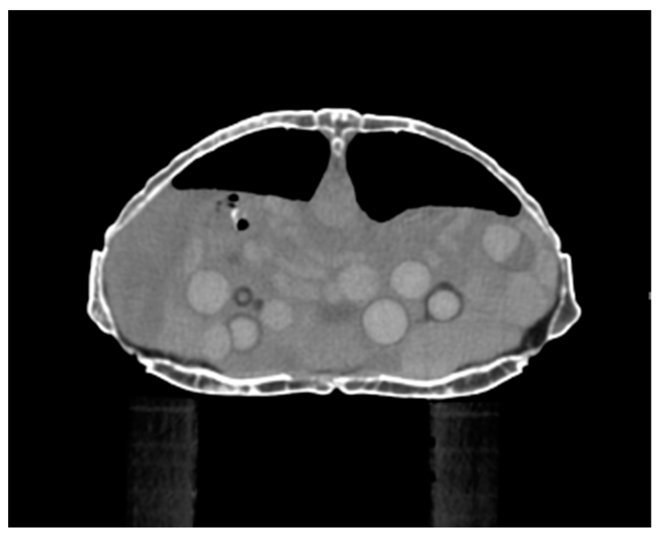 Animals 15 01275 g004