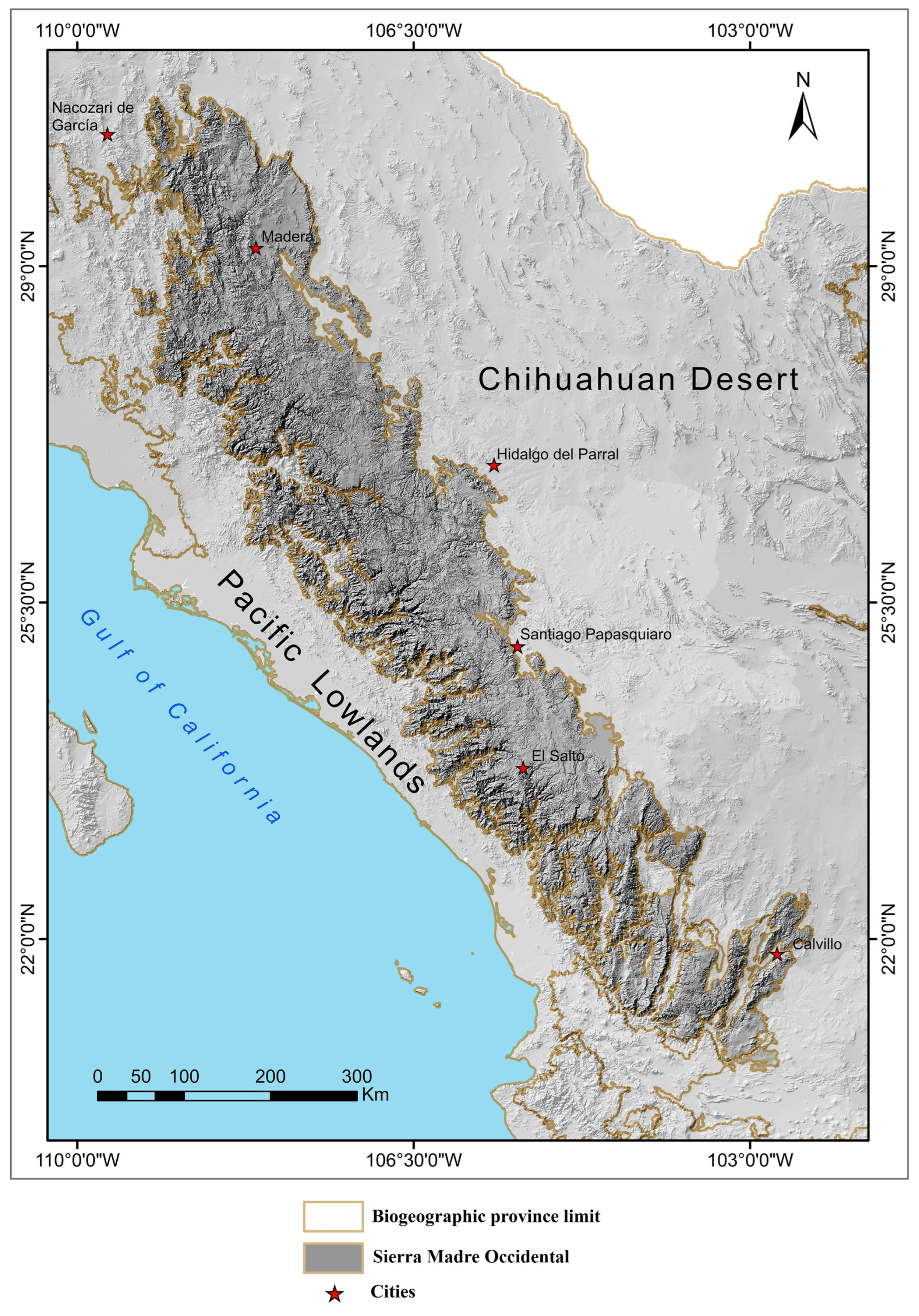 Animals 15 01278 g001