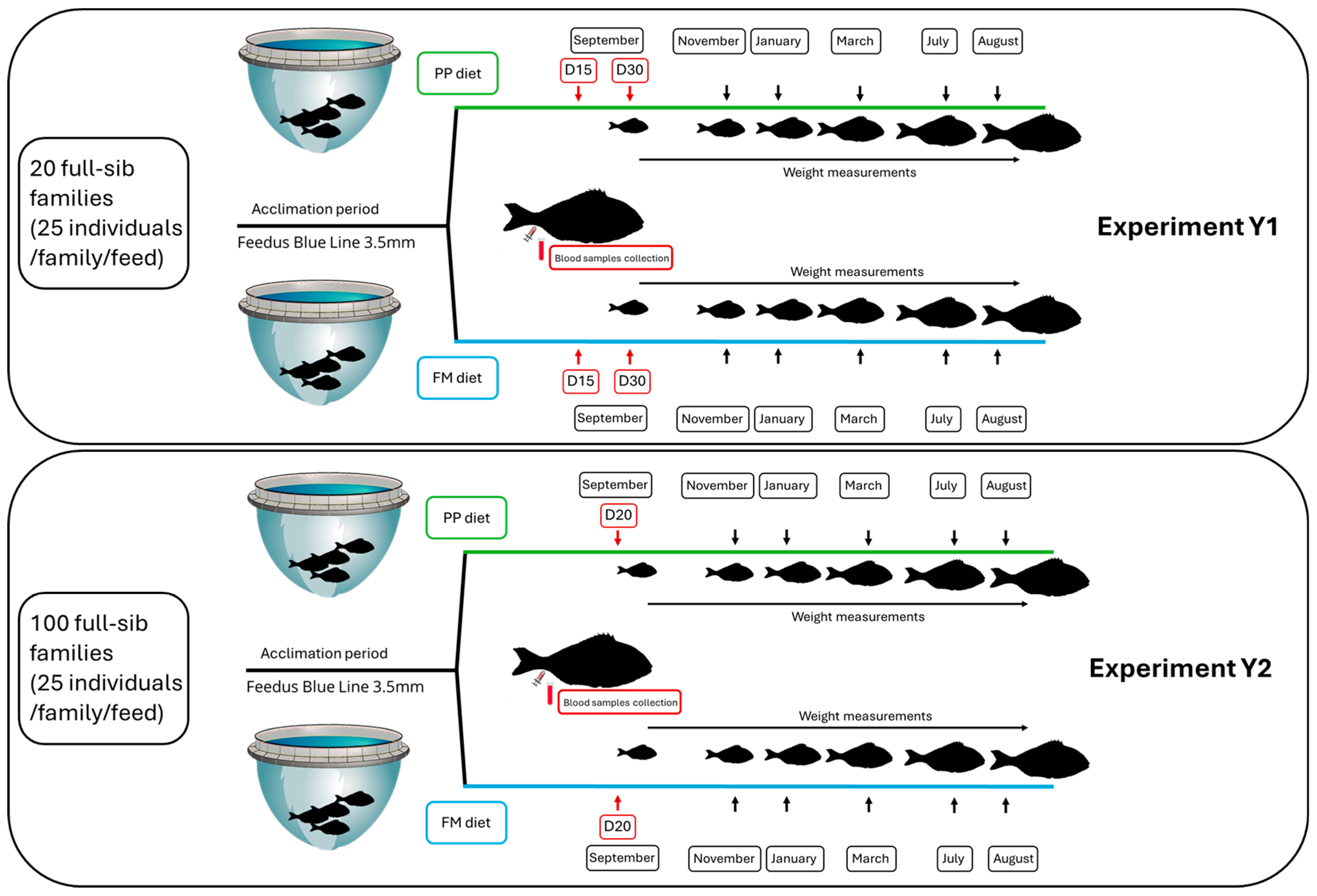 Animals 15 01279 g001