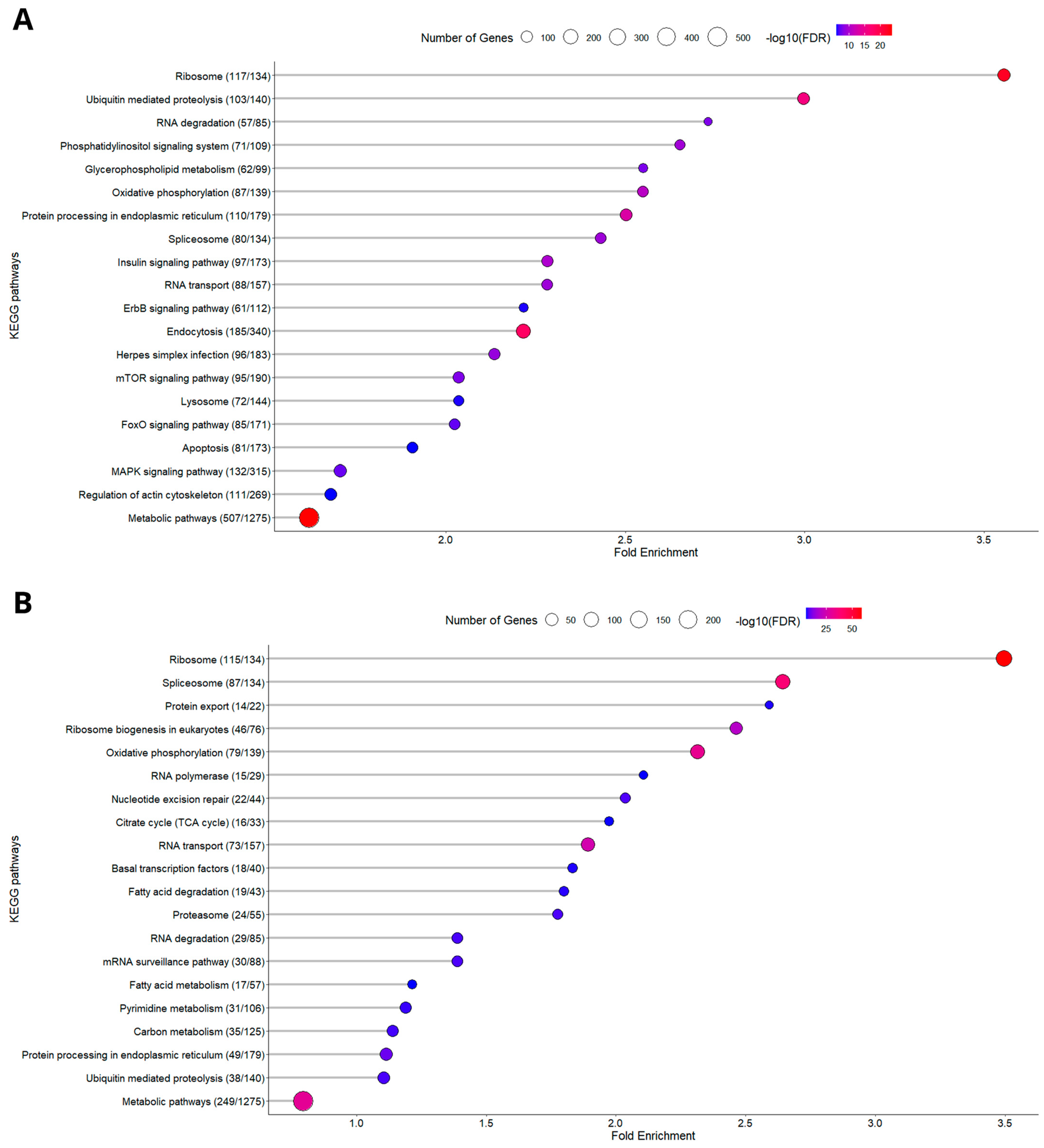 Animals 15 01279 g004