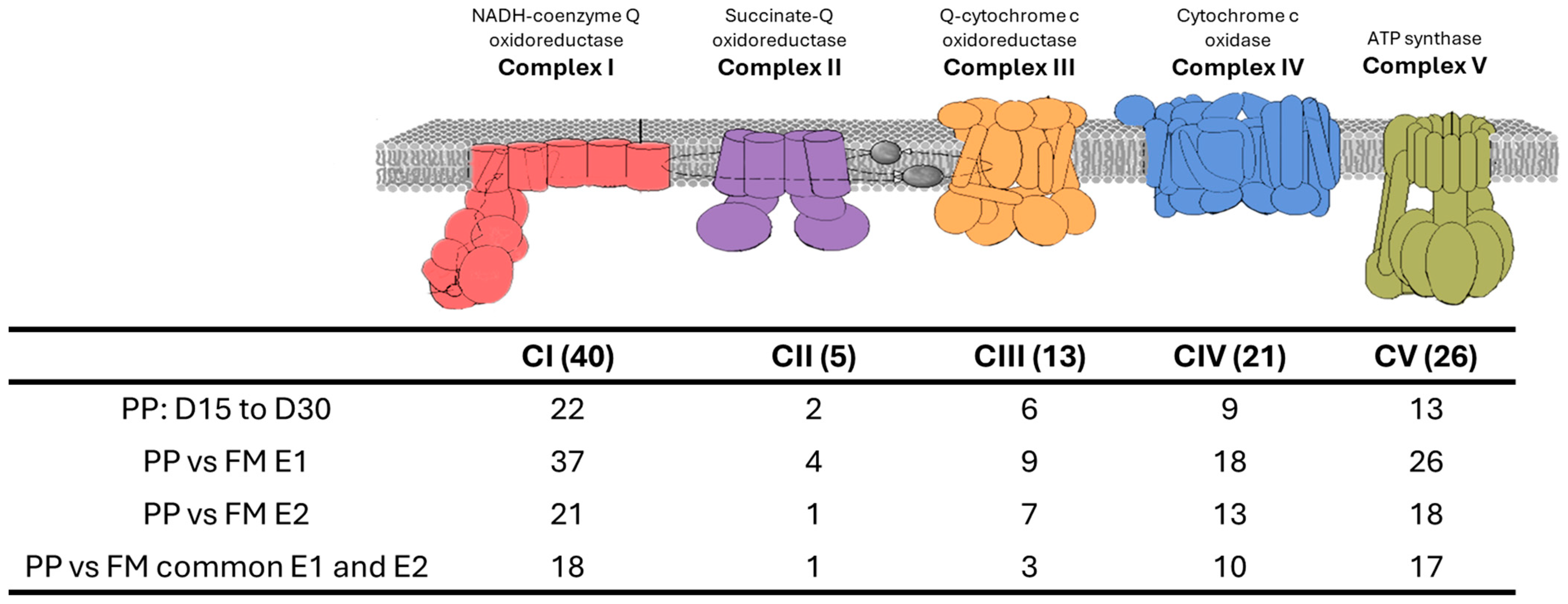 Animals 15 01279 g008
