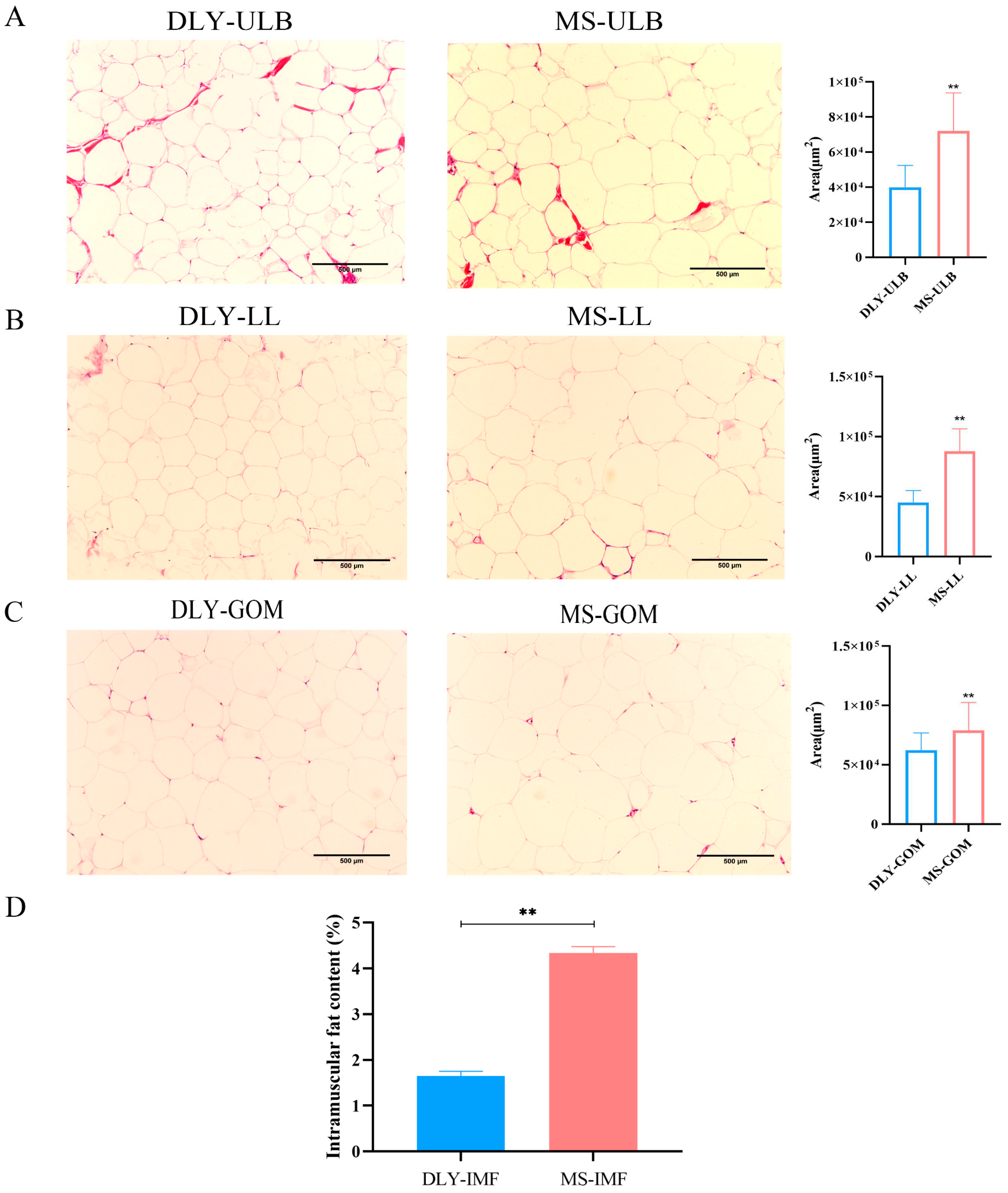 Animals 15 01280 g001