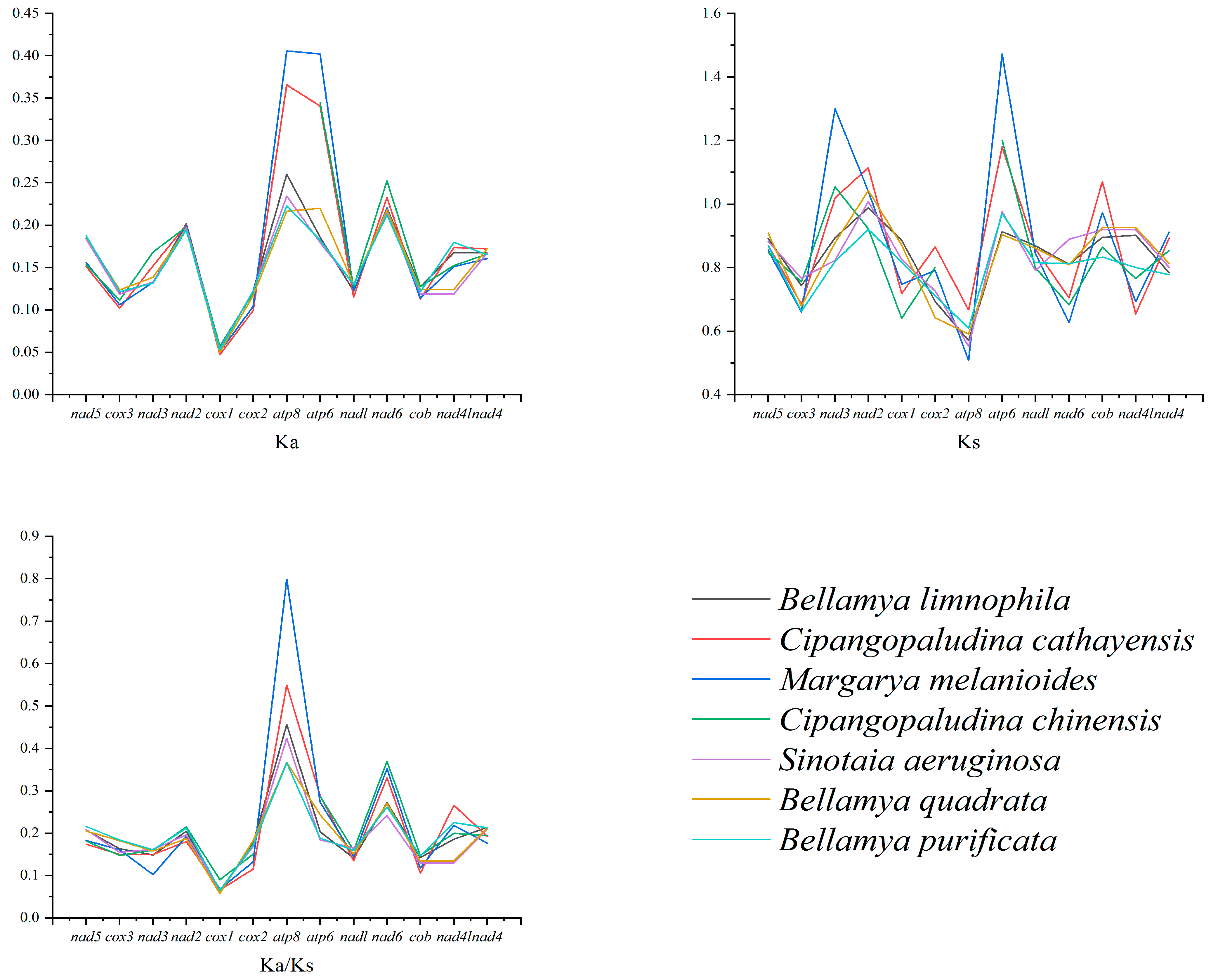 Animals 15 01284 g005