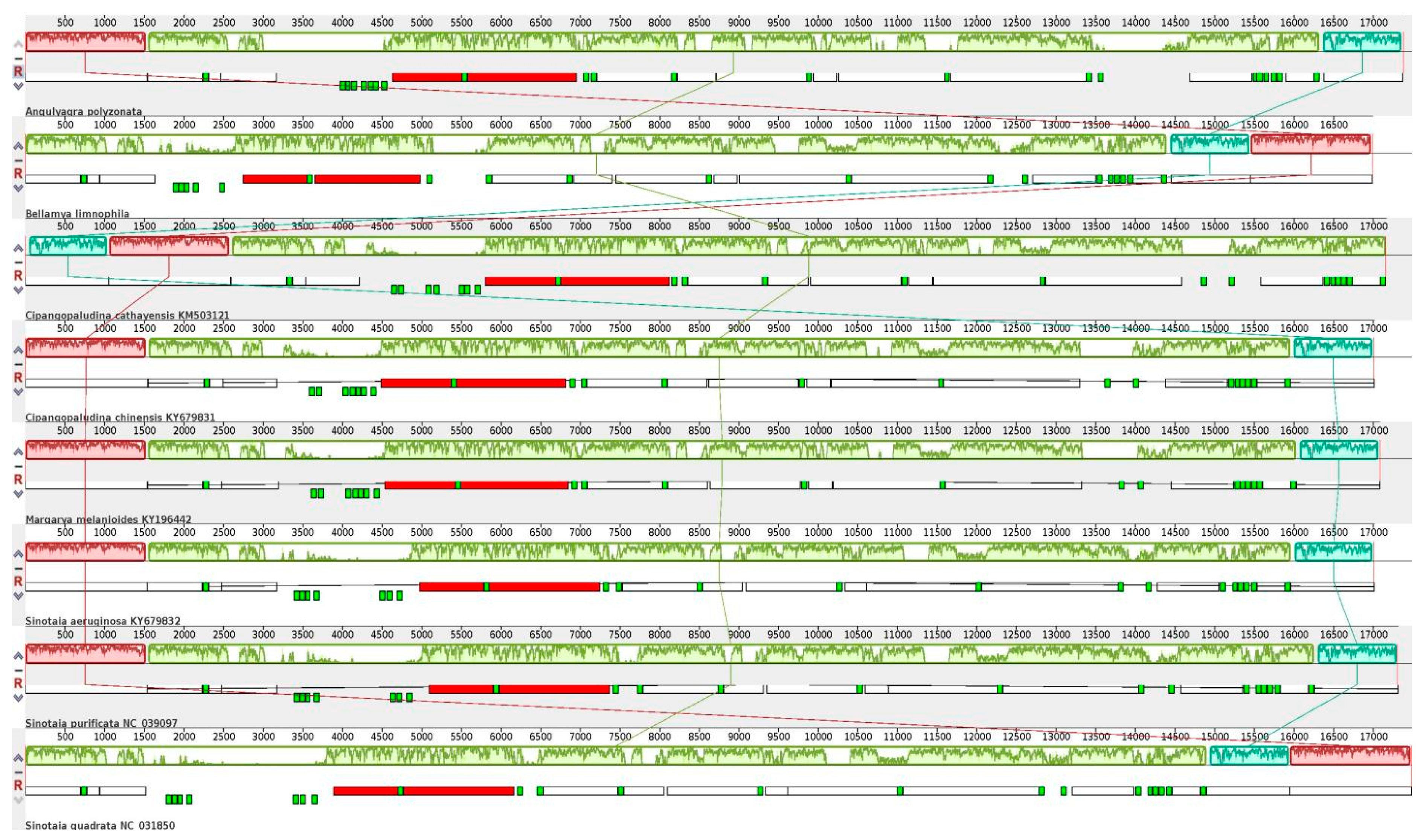 Animals 15 01284 g006