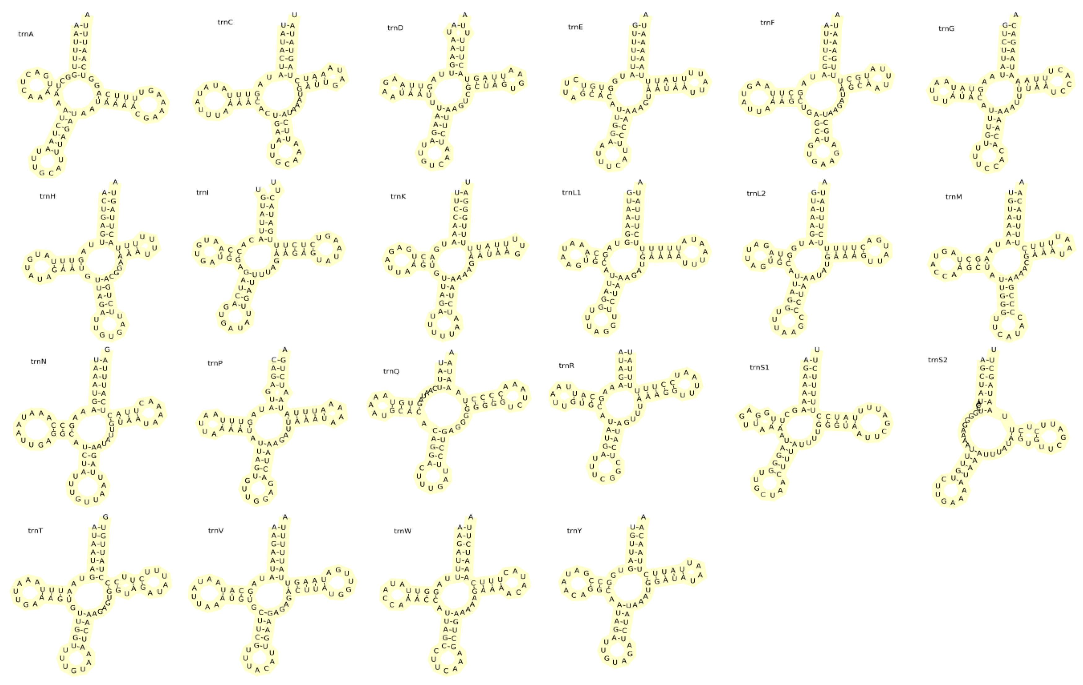 Animals 15 01284 g007