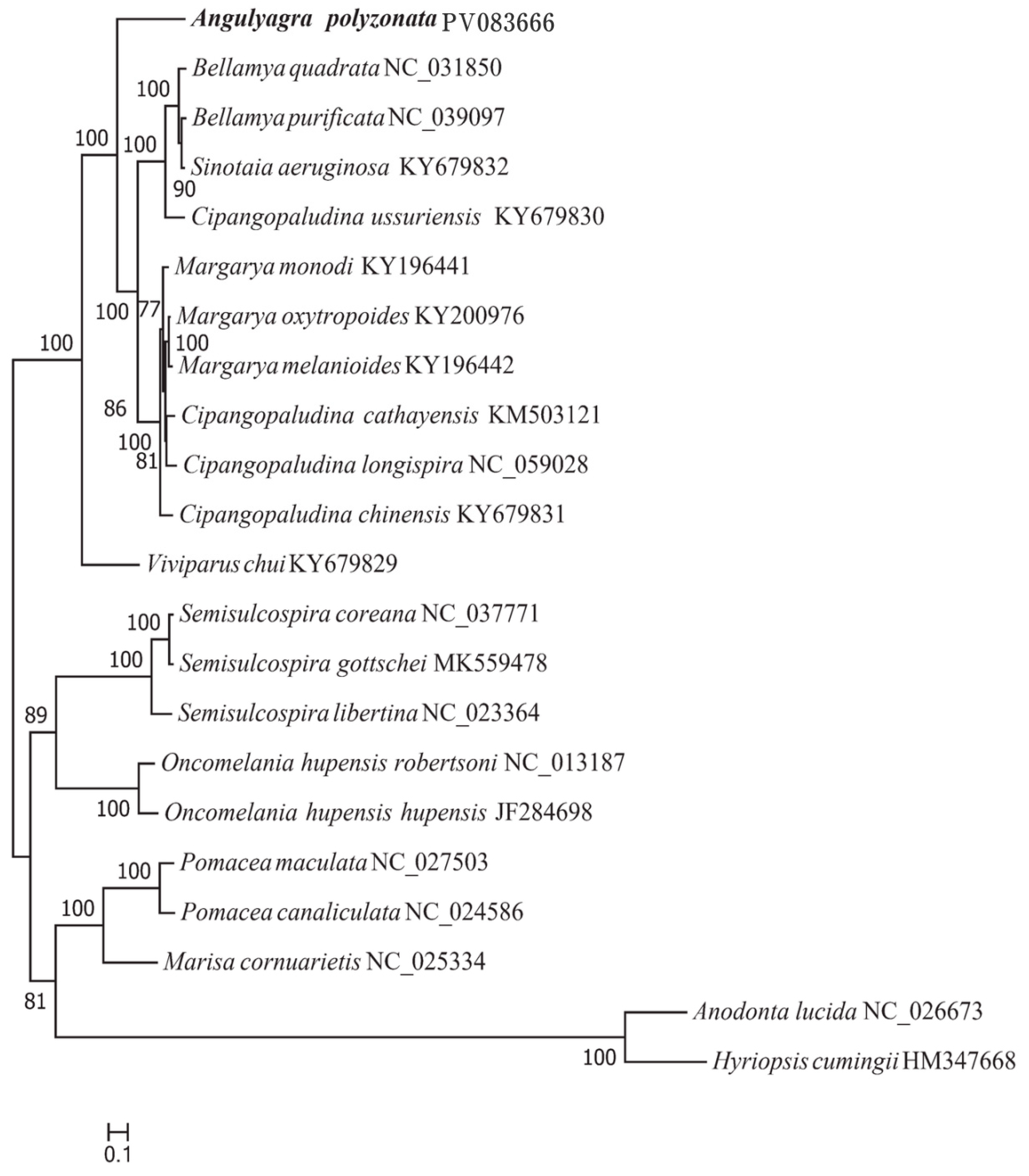 Animals 15 01284 g008