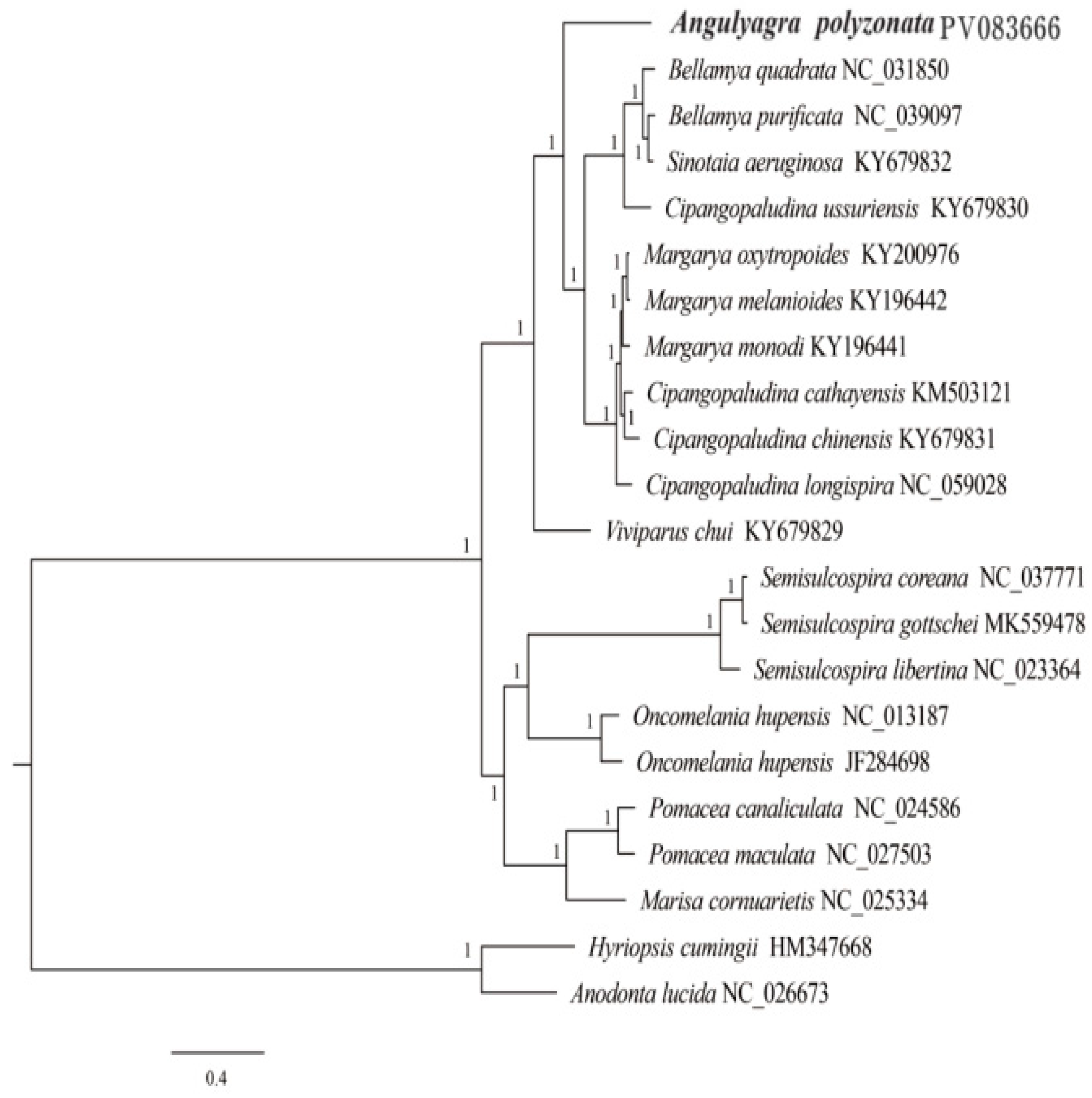 Animals 15 01284 g009