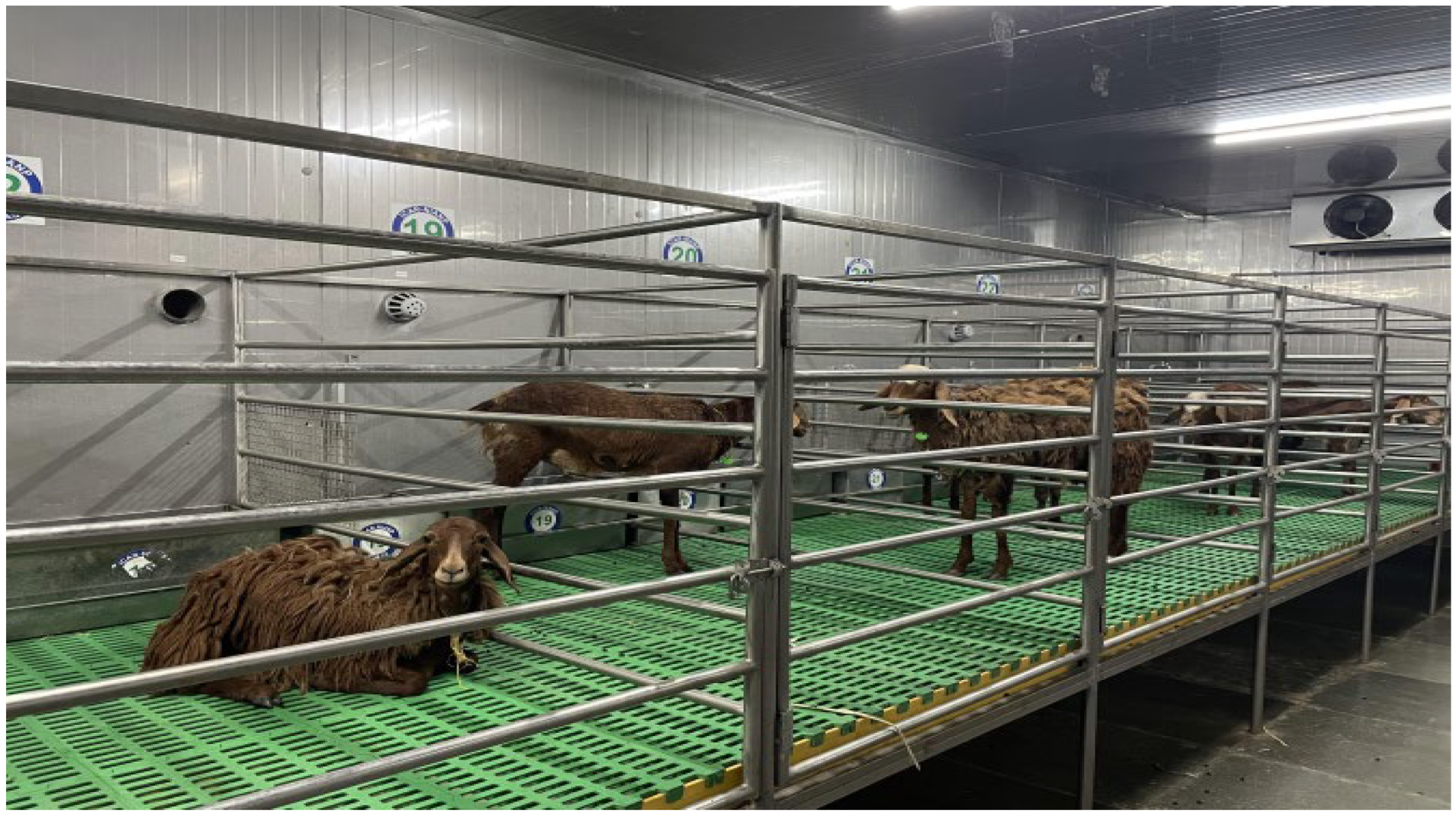 Animals 15 01285 g002