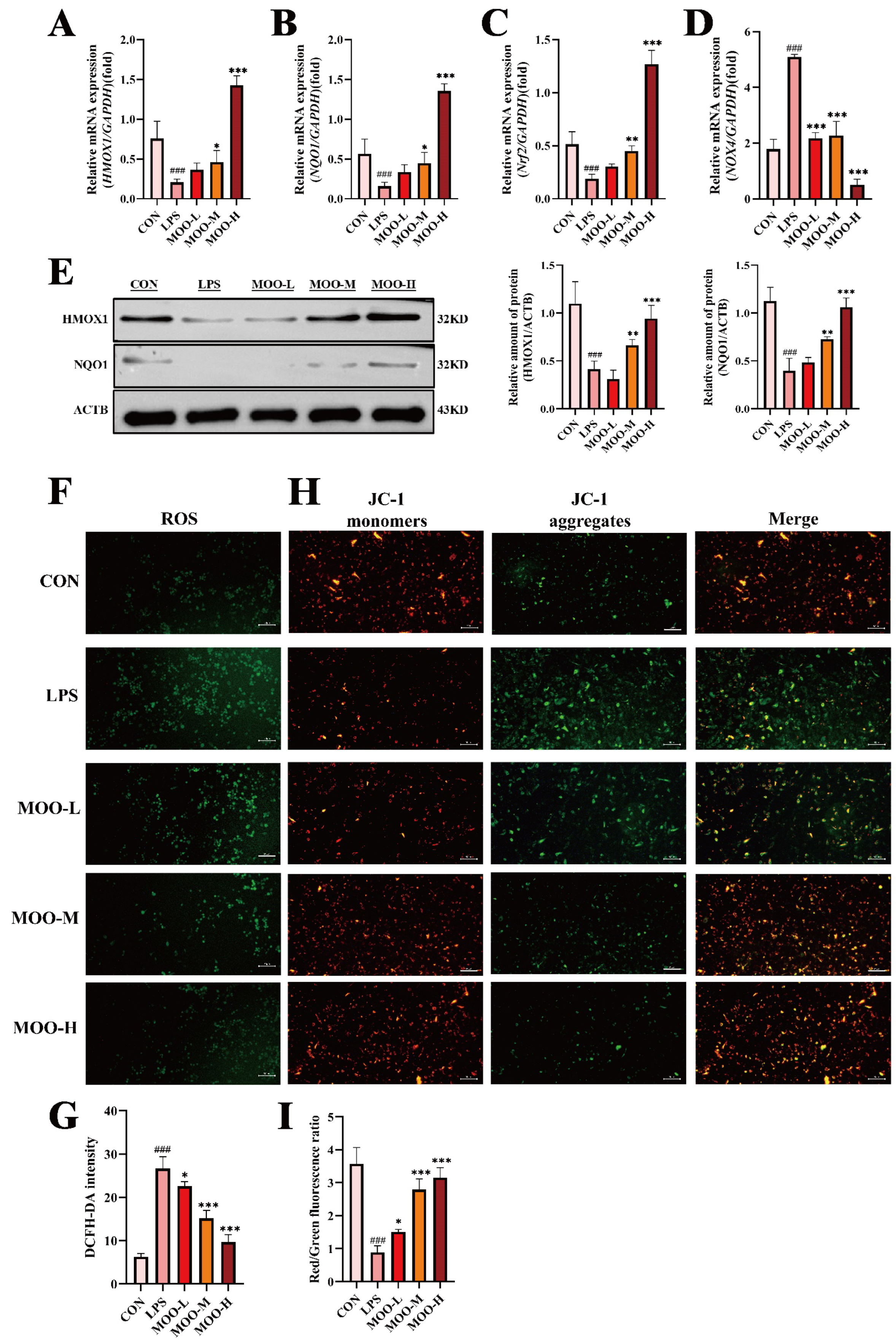 Animals 15 01286 g005