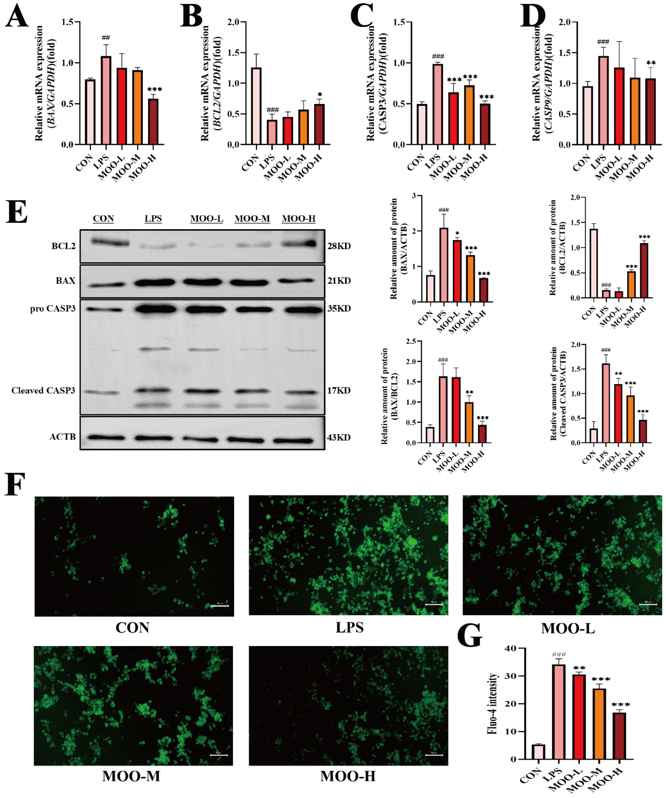 Animals 15 01286 g006