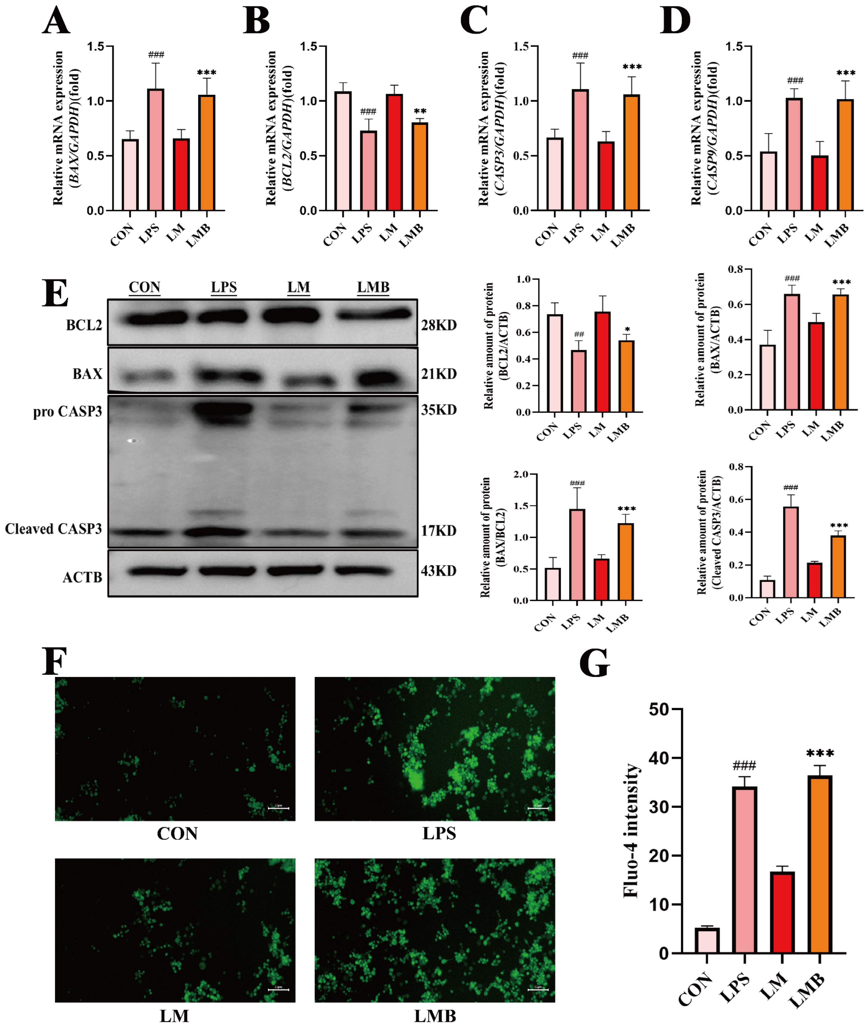 Animals 15 01286 g009