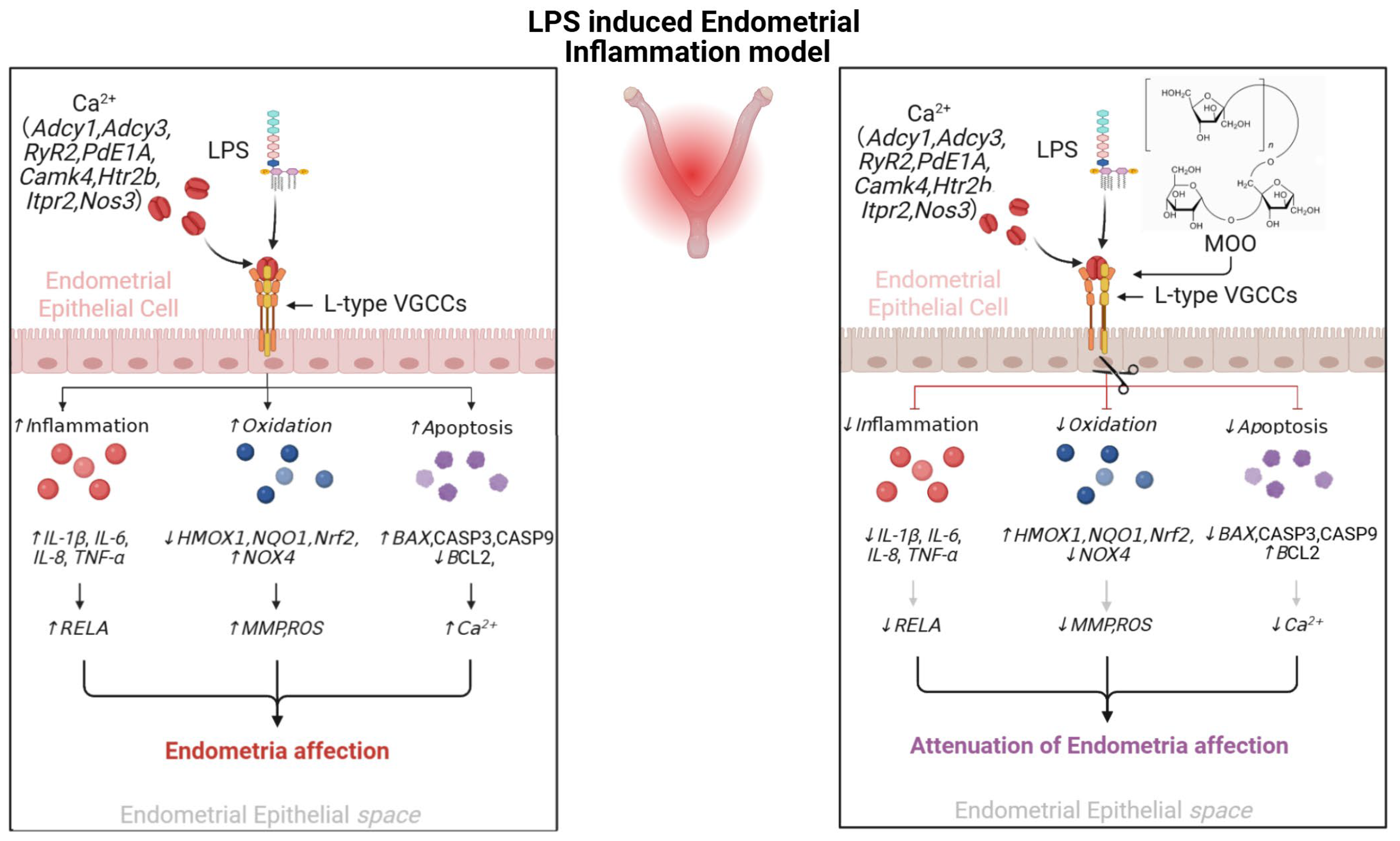 Animals 15 01286 g010