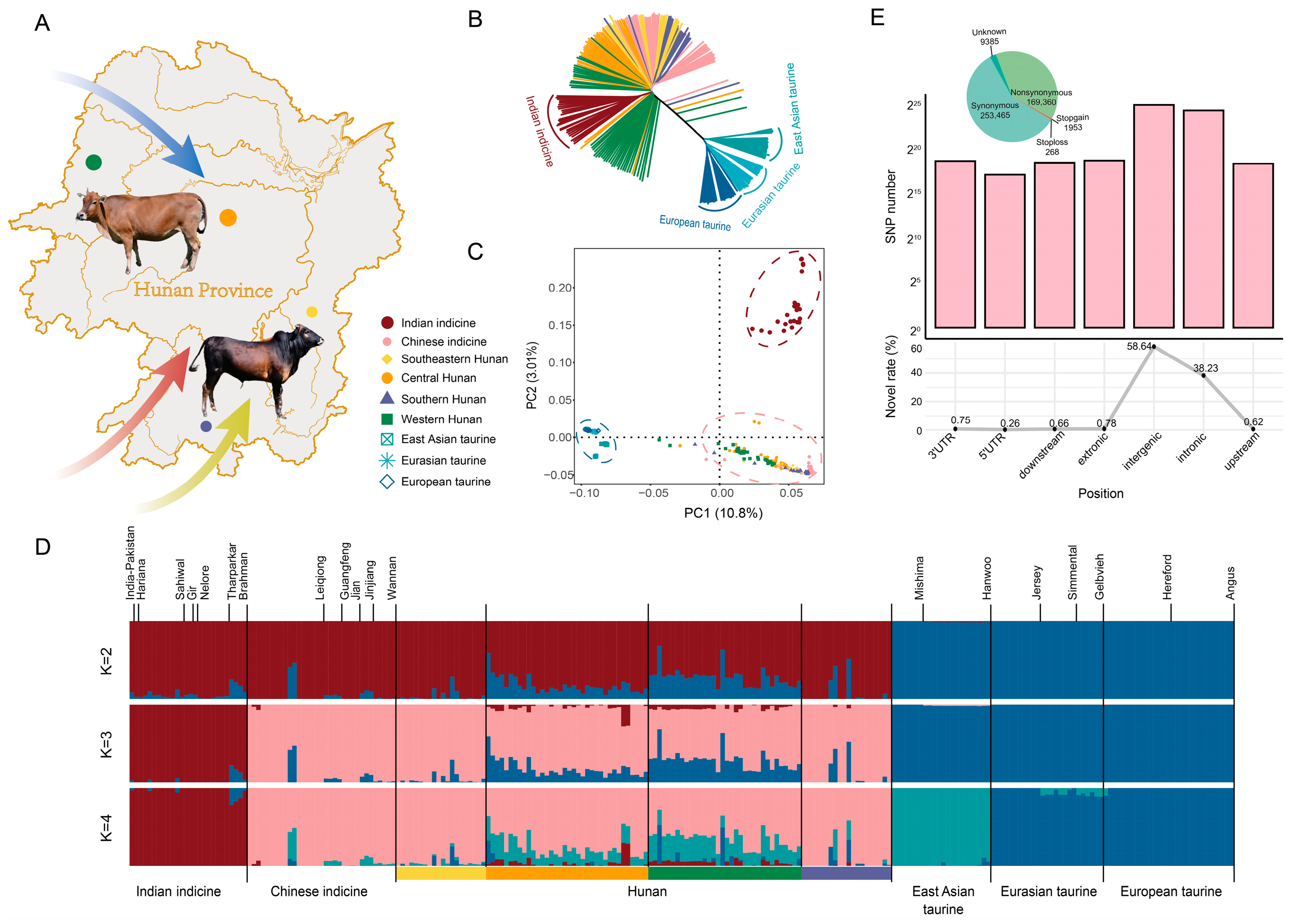 Animals 15 01287 g001
