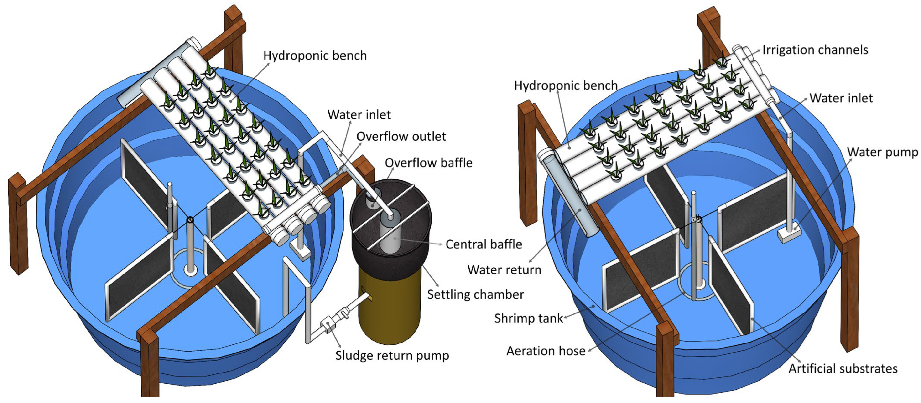 Animals 15 01294 g001