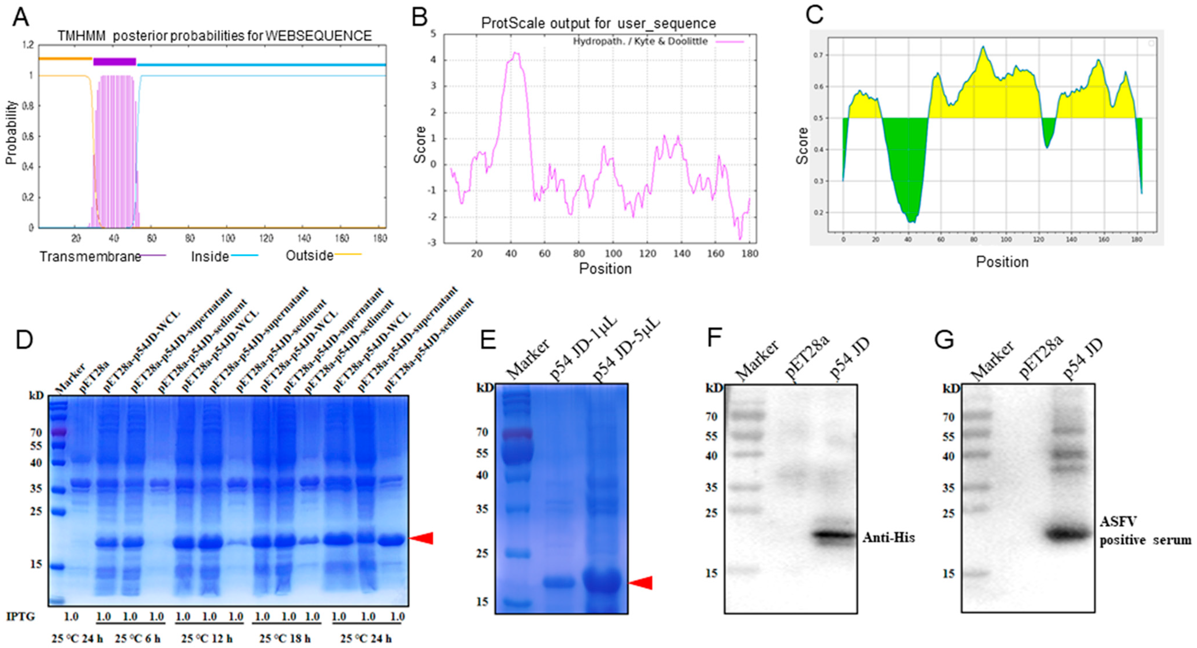 Animals 15 01296 g001