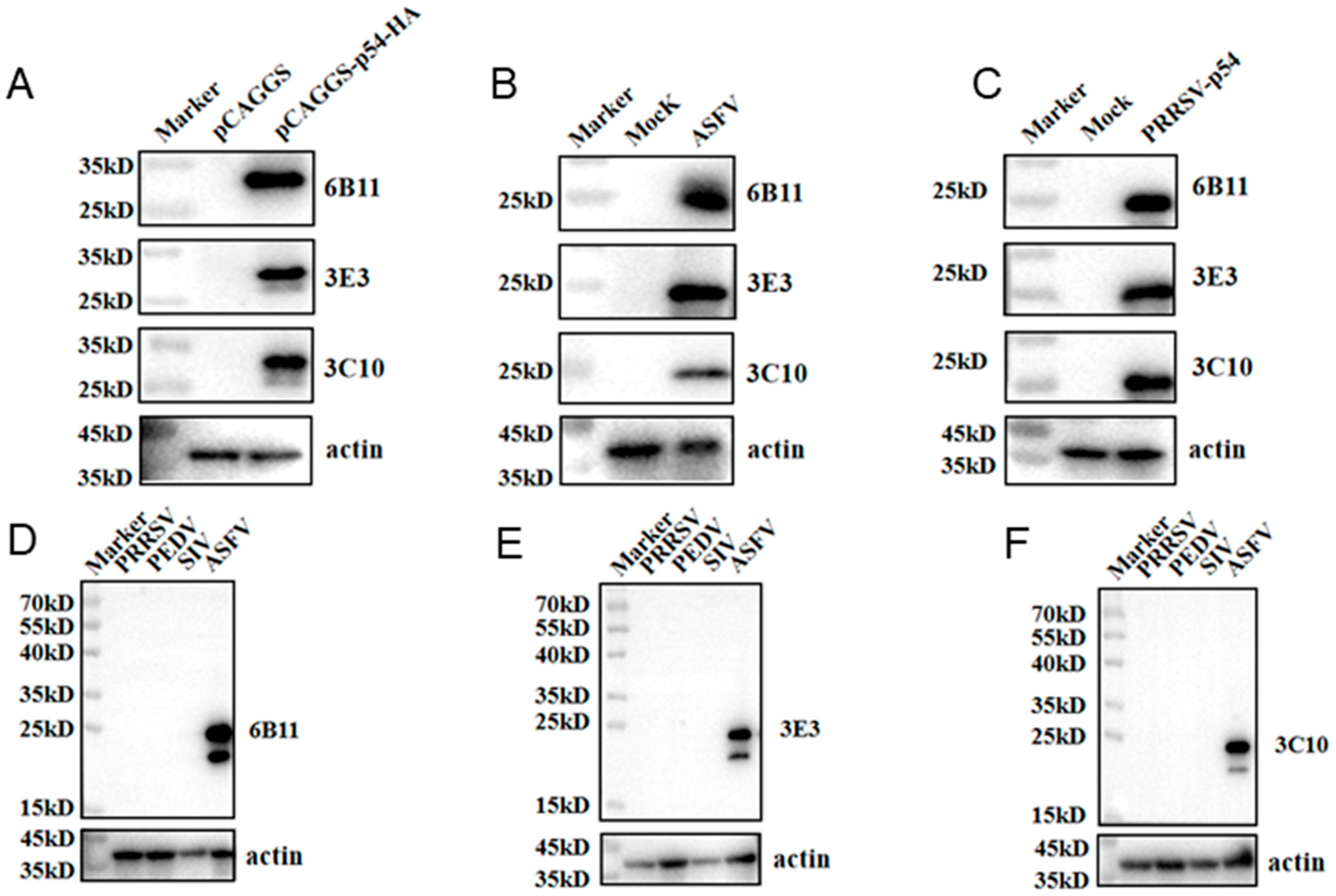 Animals 15 01296 g003