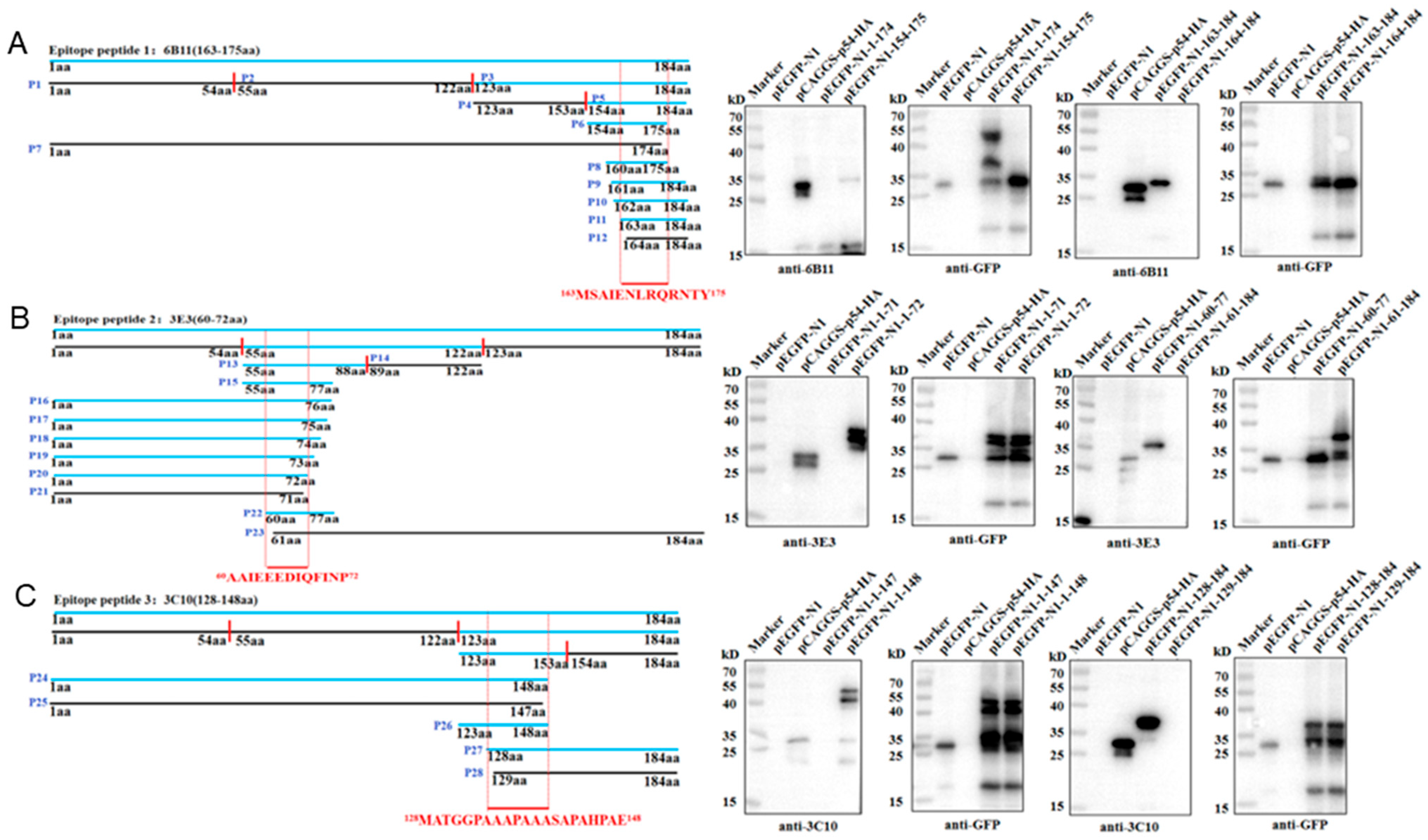 Animals 15 01296 g005