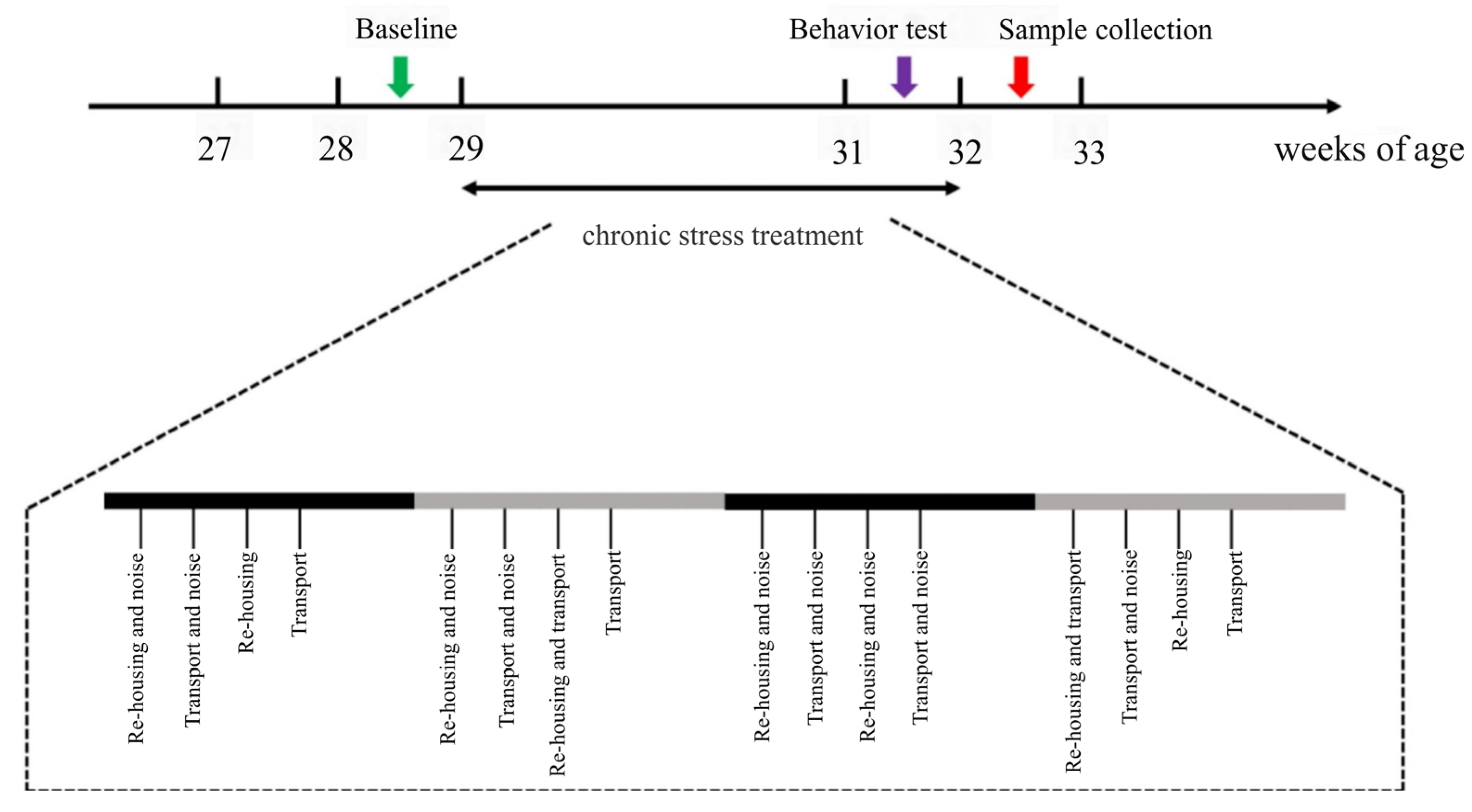 Animals 15 01297 g001