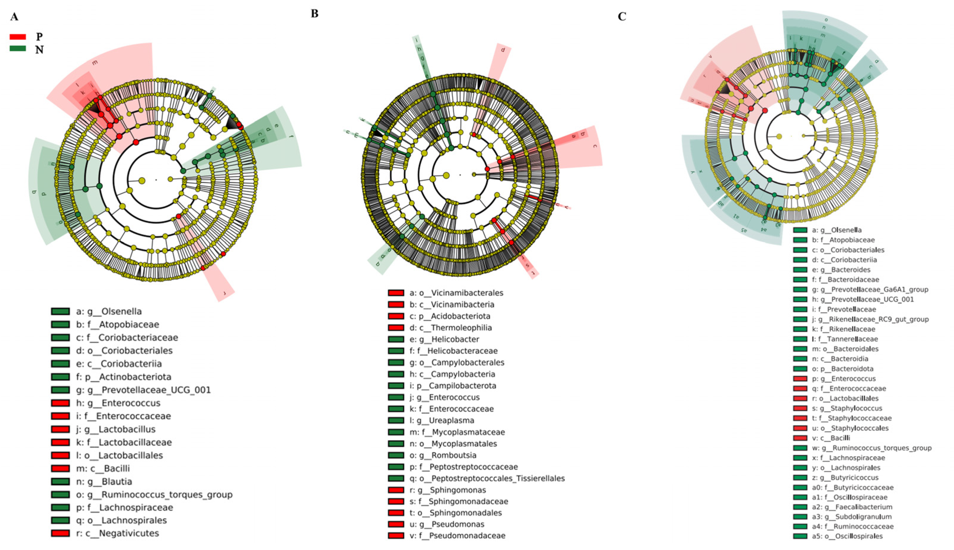 Animals 15 01297 g004