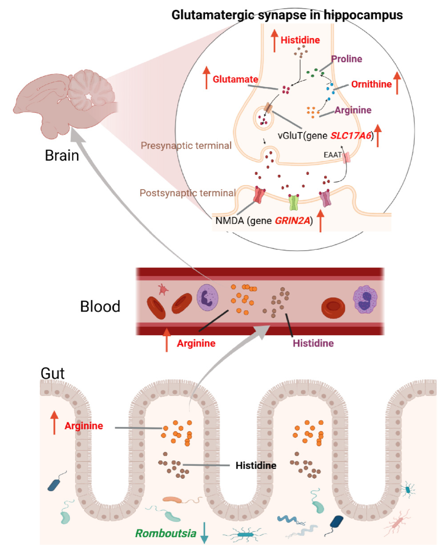 Animals 15 01297 g008