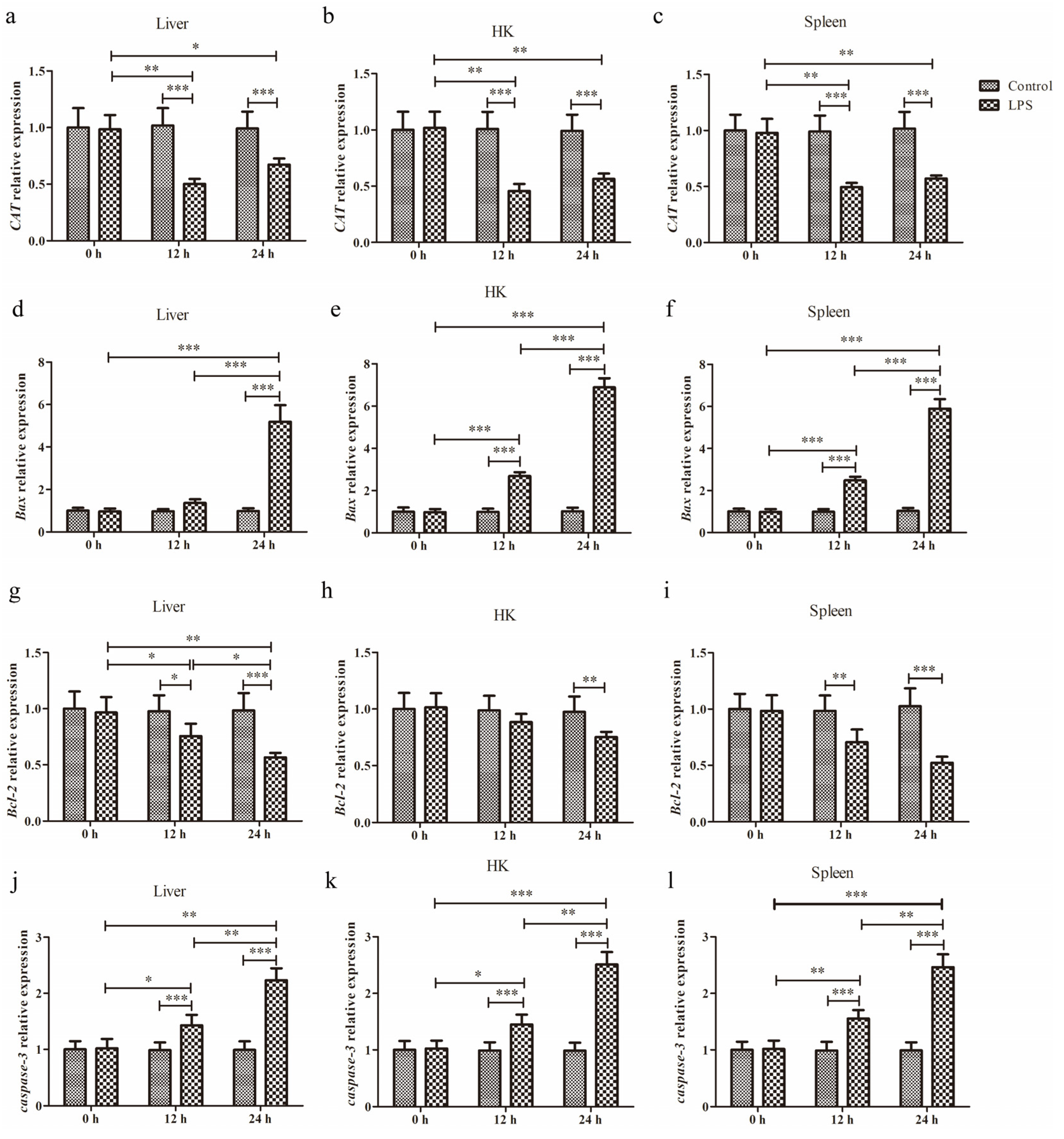 Animals 15 01298 g001