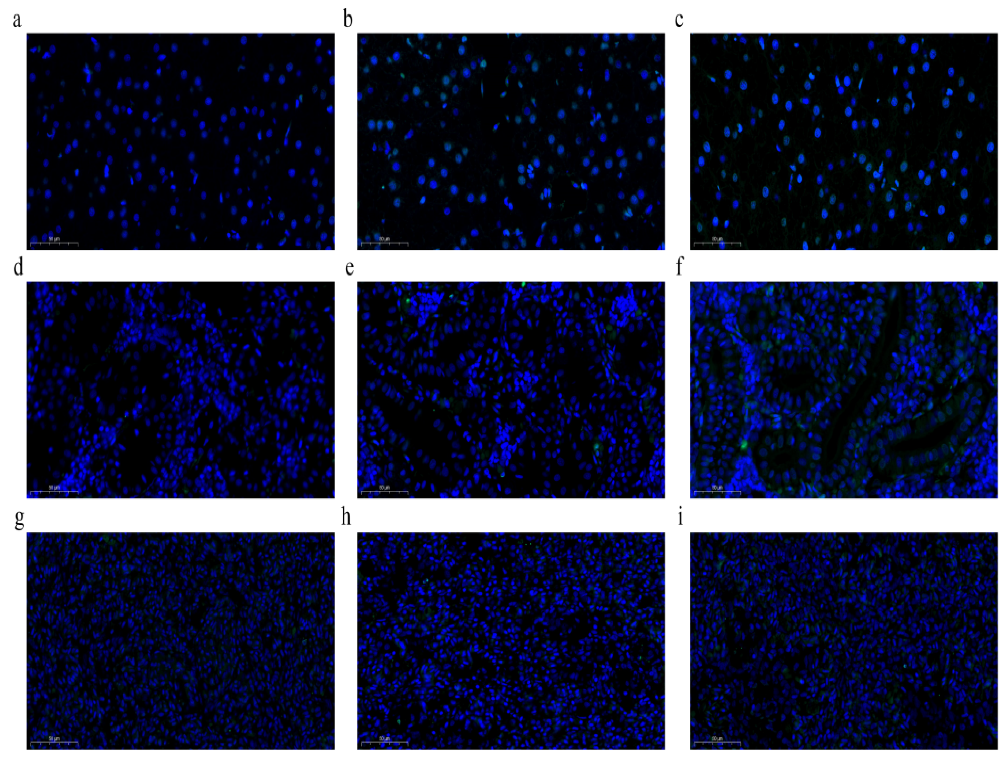 Animals 15 01298 g004