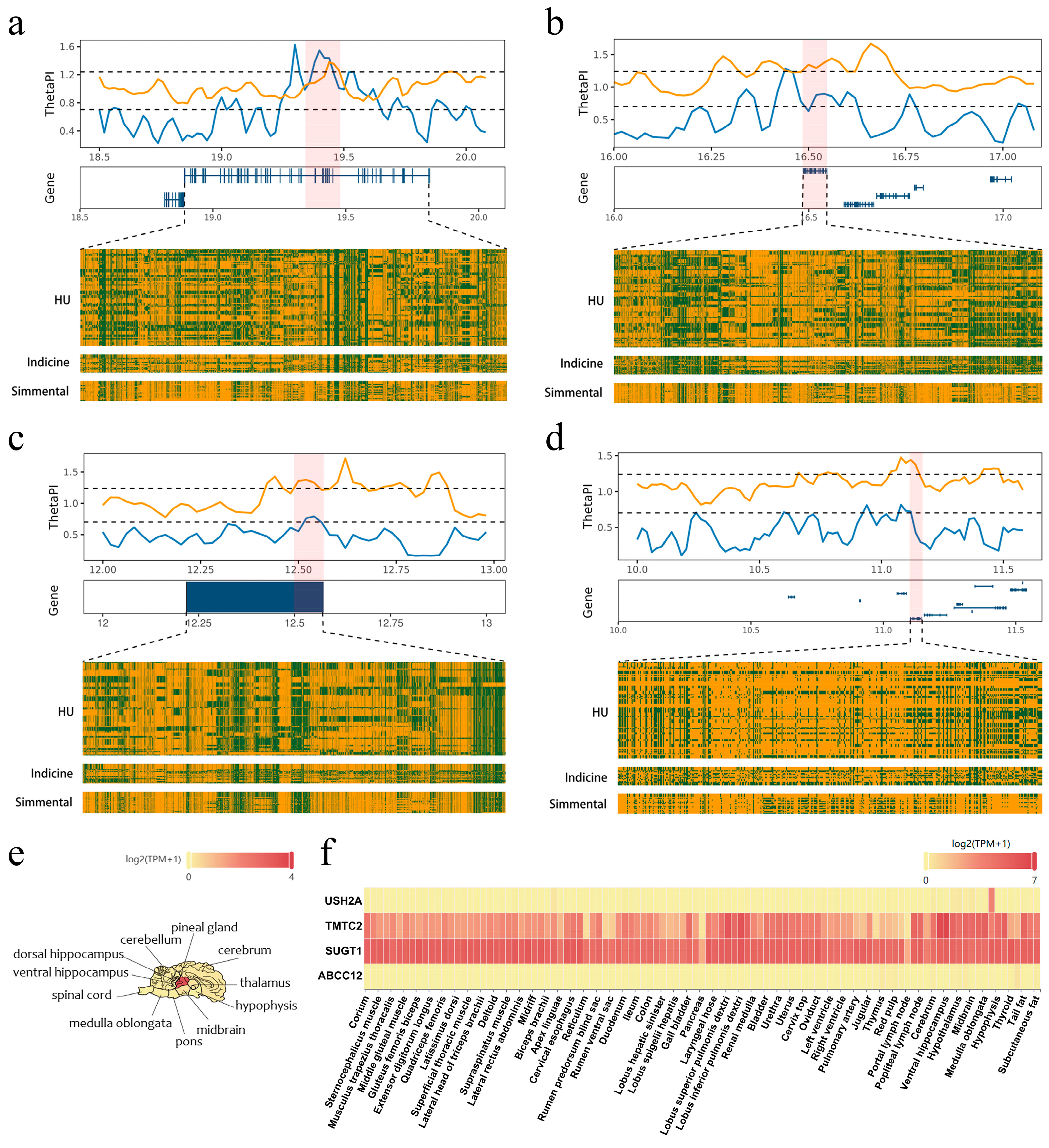 Animals 15 01301 g003
