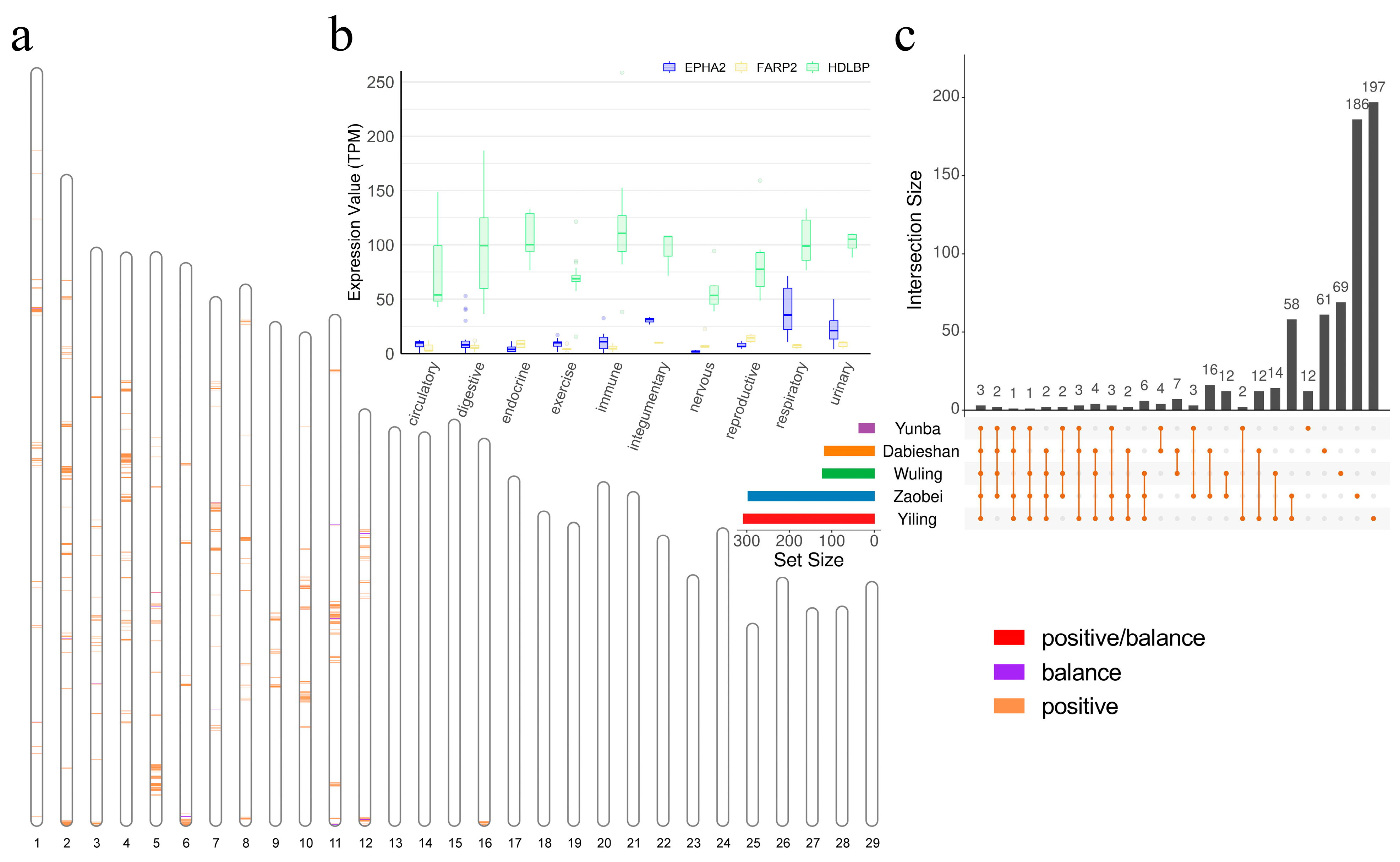 Animals 15 01301 g006