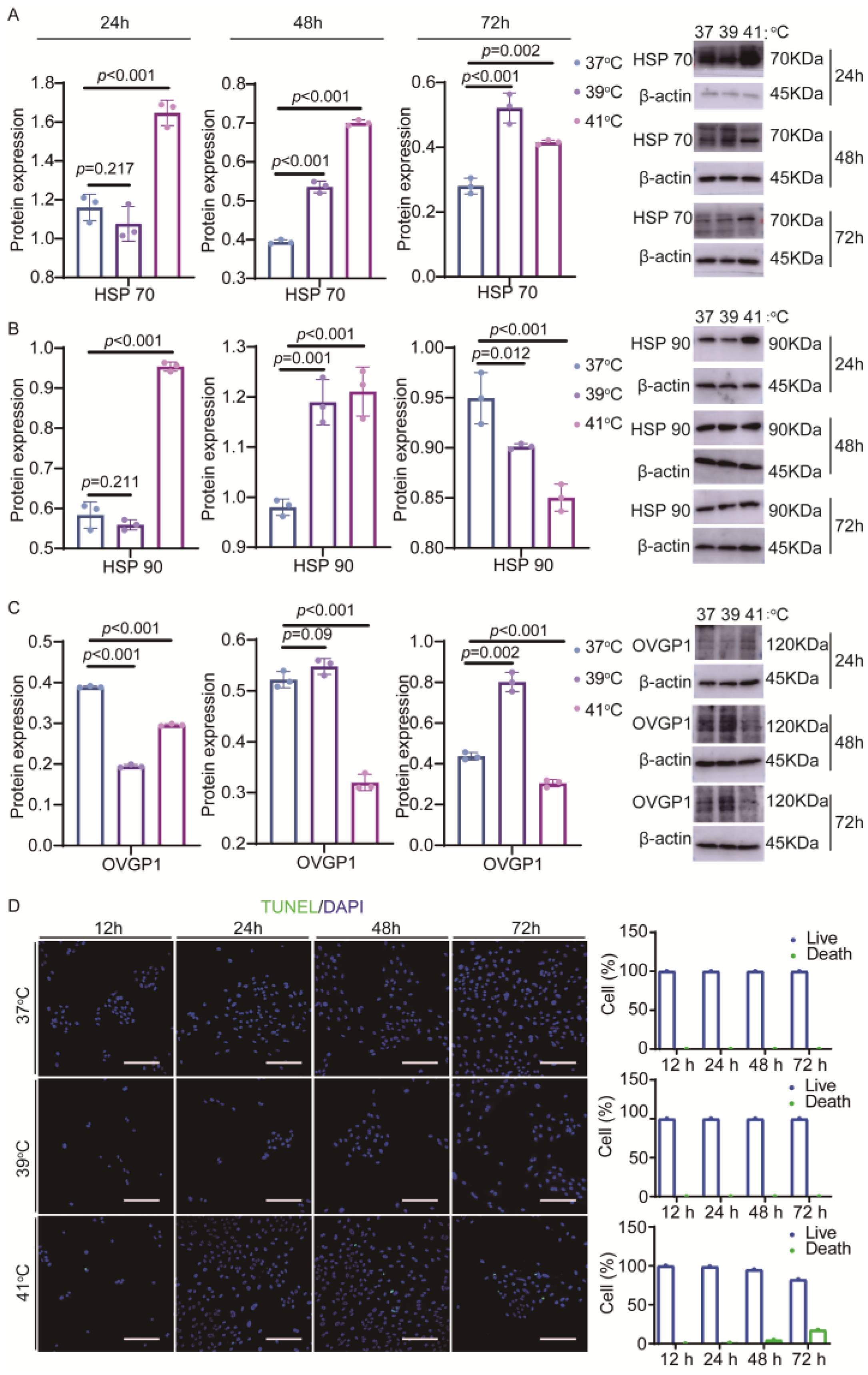 Animals 15 01305 g001
