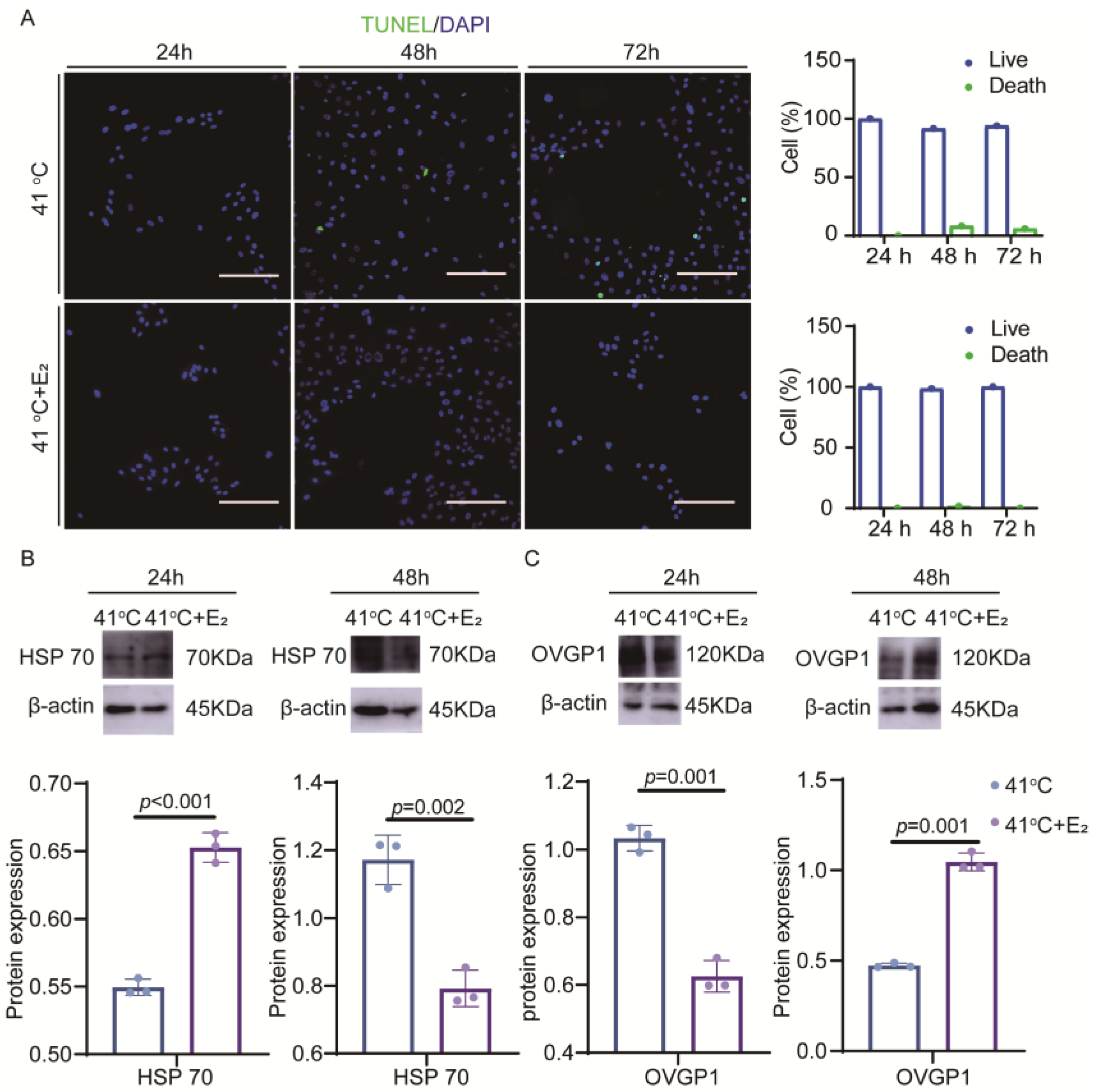 Animals 15 01305 g002