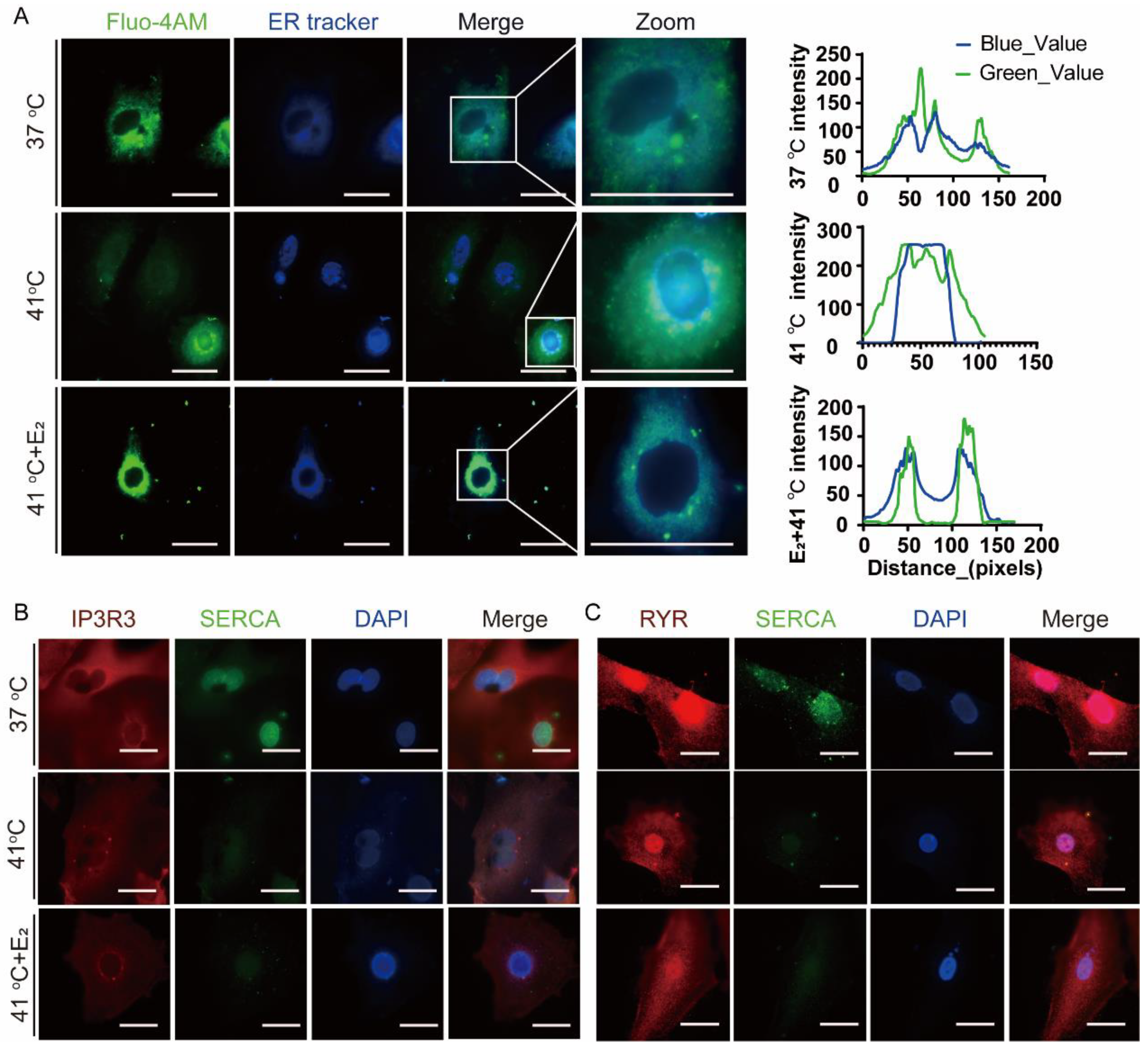 Animals 15 01305 g003