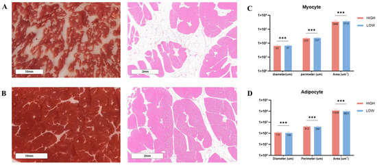Integrated Transcriptomic Analysis of Liver and Muscle