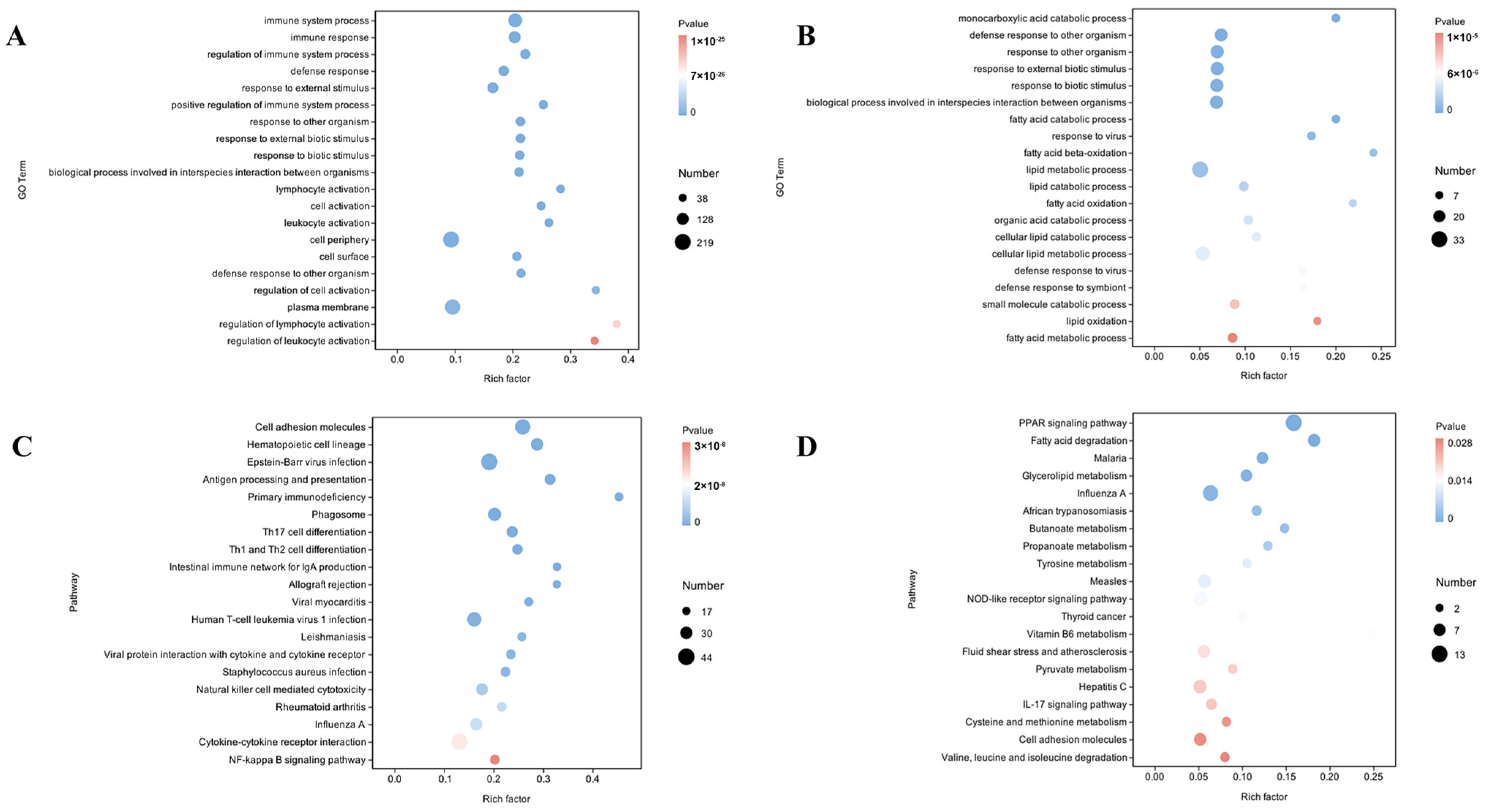 Animals 15 01306 g003