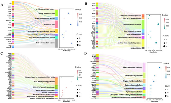 Integrated Transcriptomic Analysis of Liver and Muscle Tissues Reveals ...