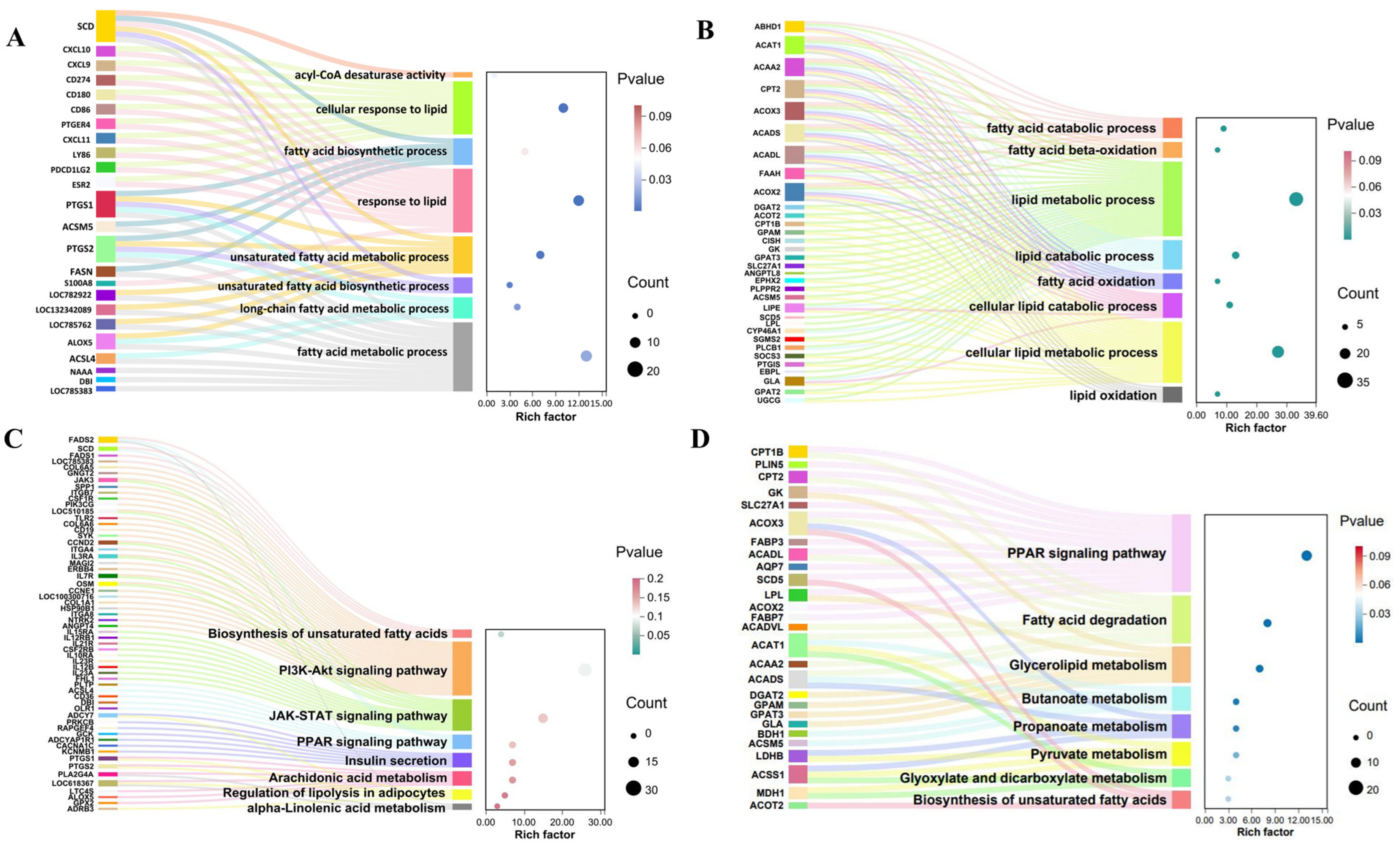 Animals 15 01306 g004
