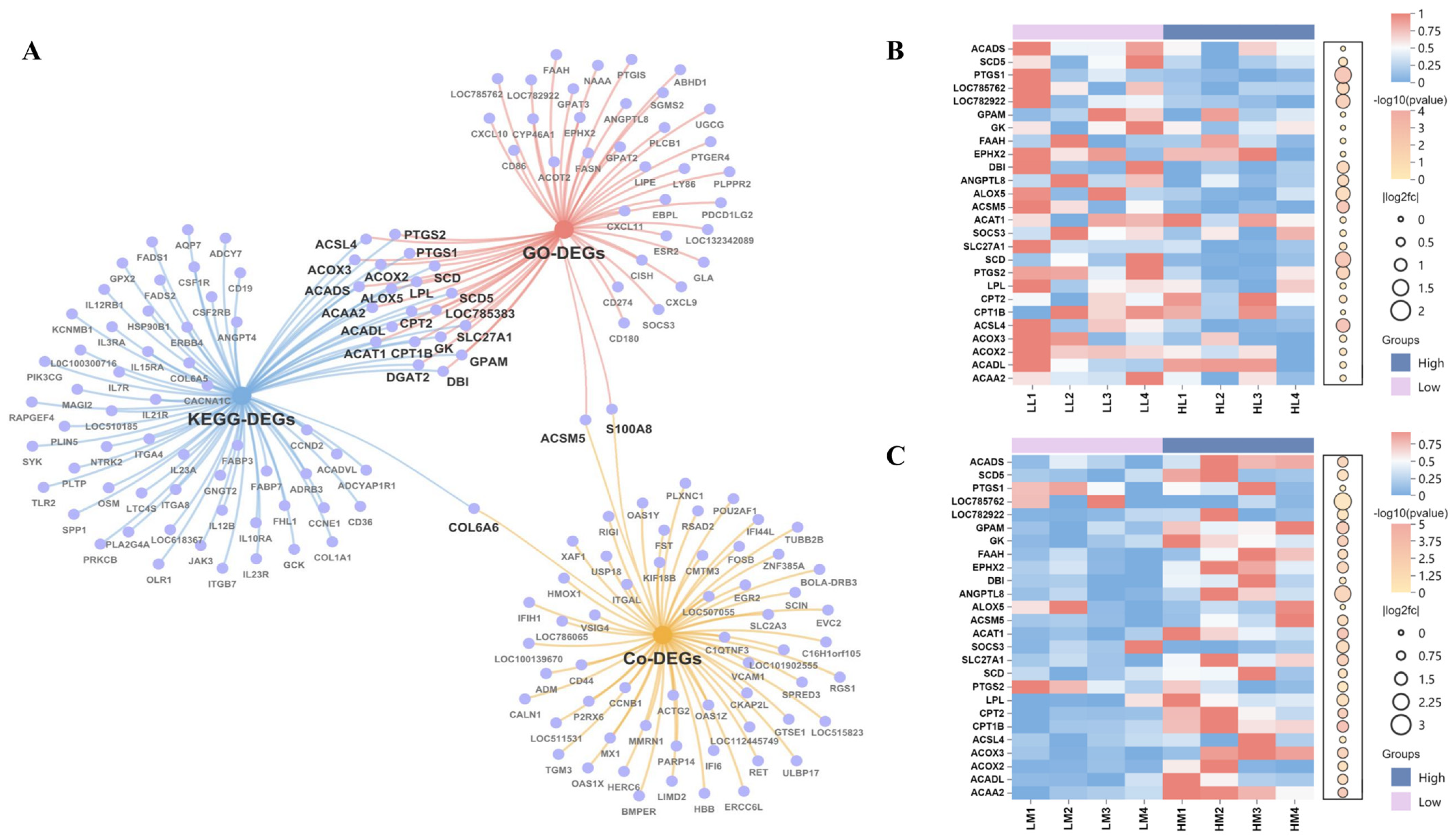 Animals 15 01306 g005