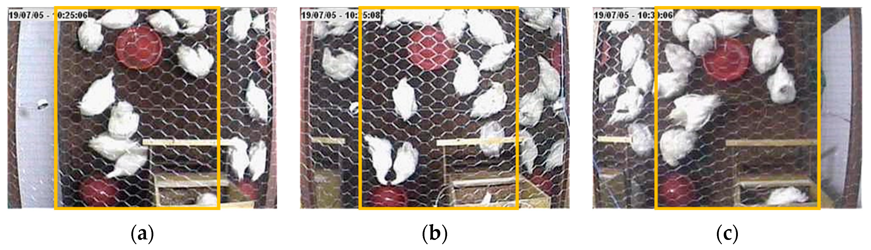 Animals 15 01311 g002