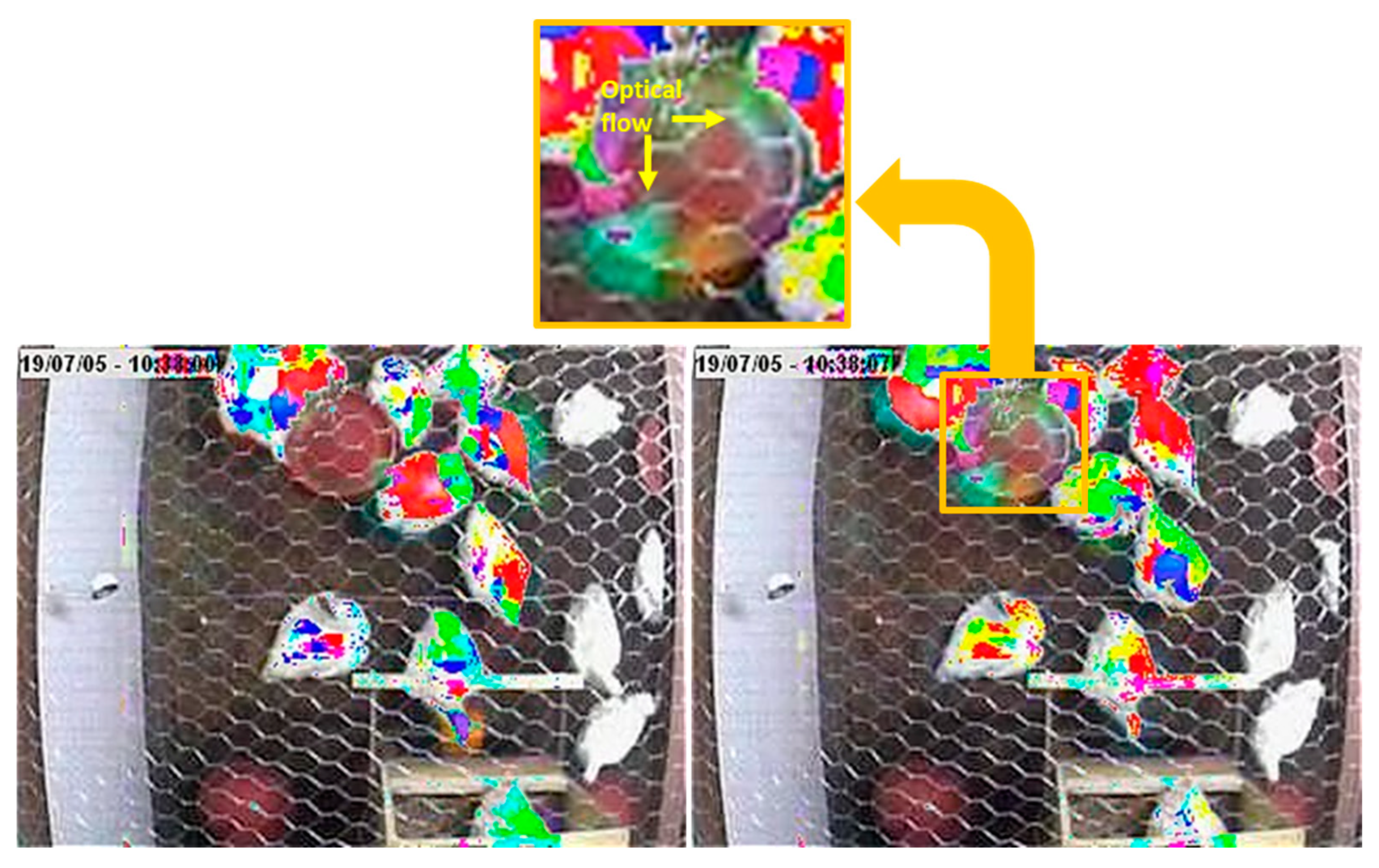 Animals 15 01311 g006