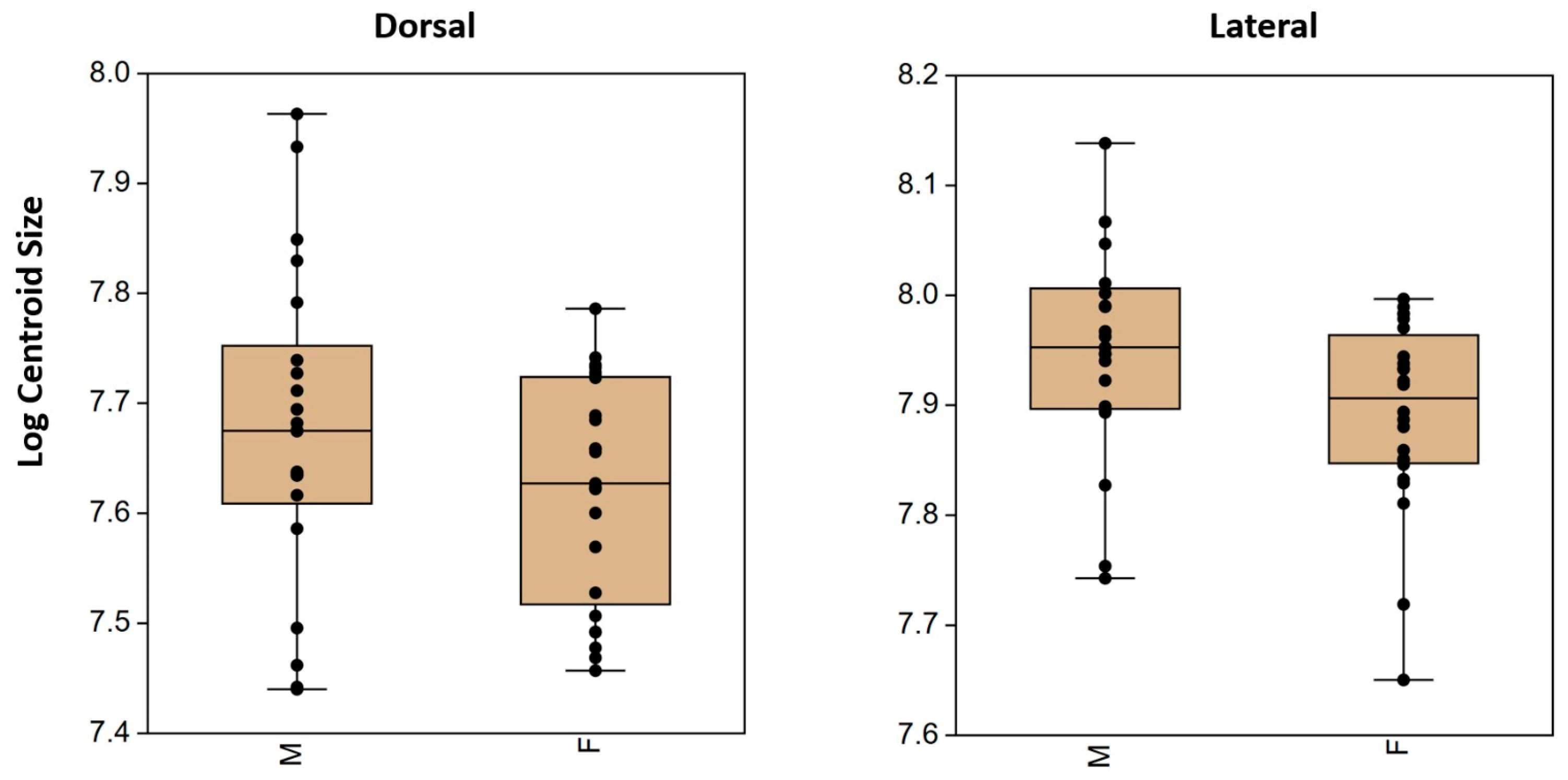 Animals 15 01312 g003