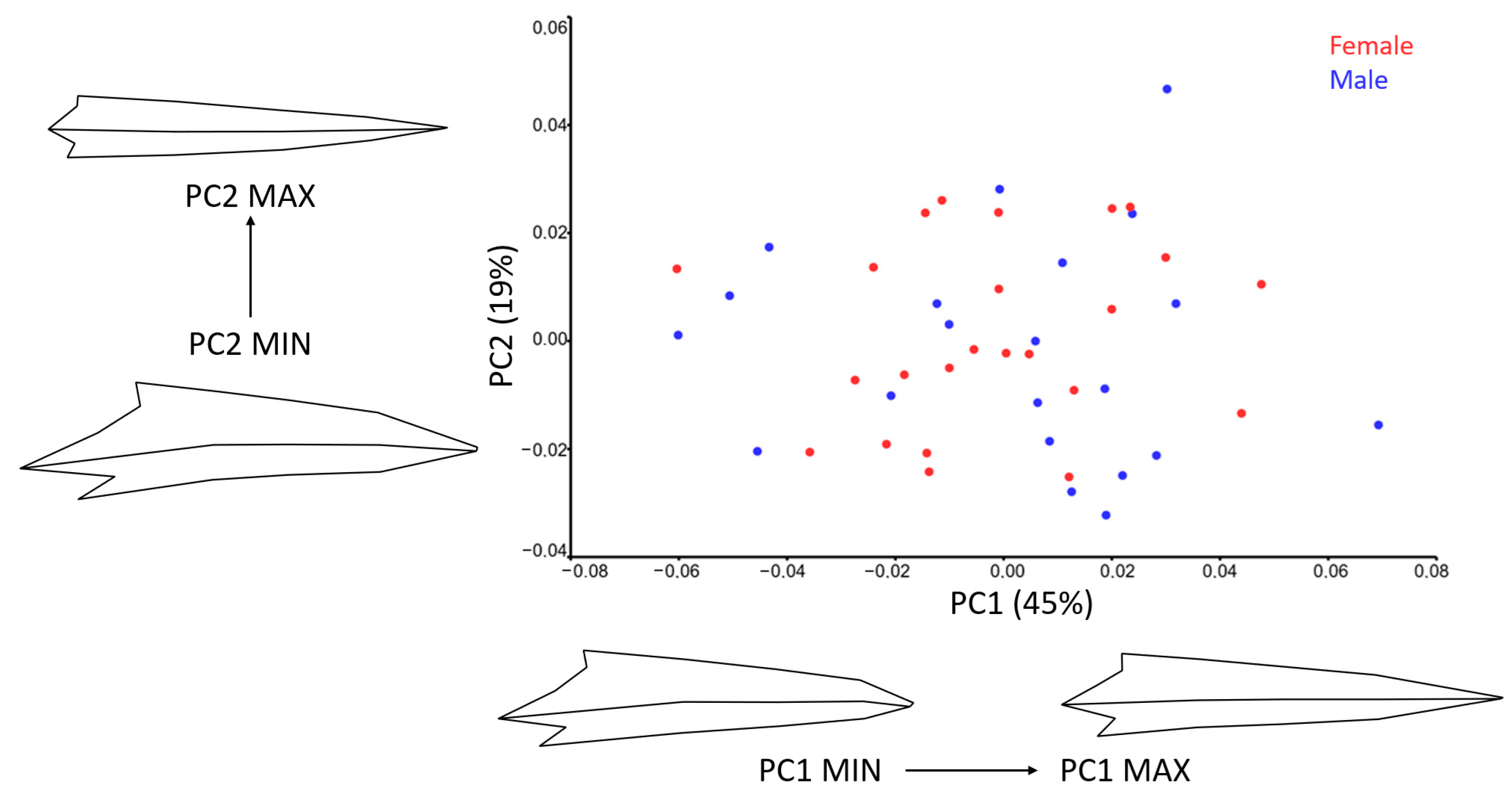 Animals 15 01312 g006