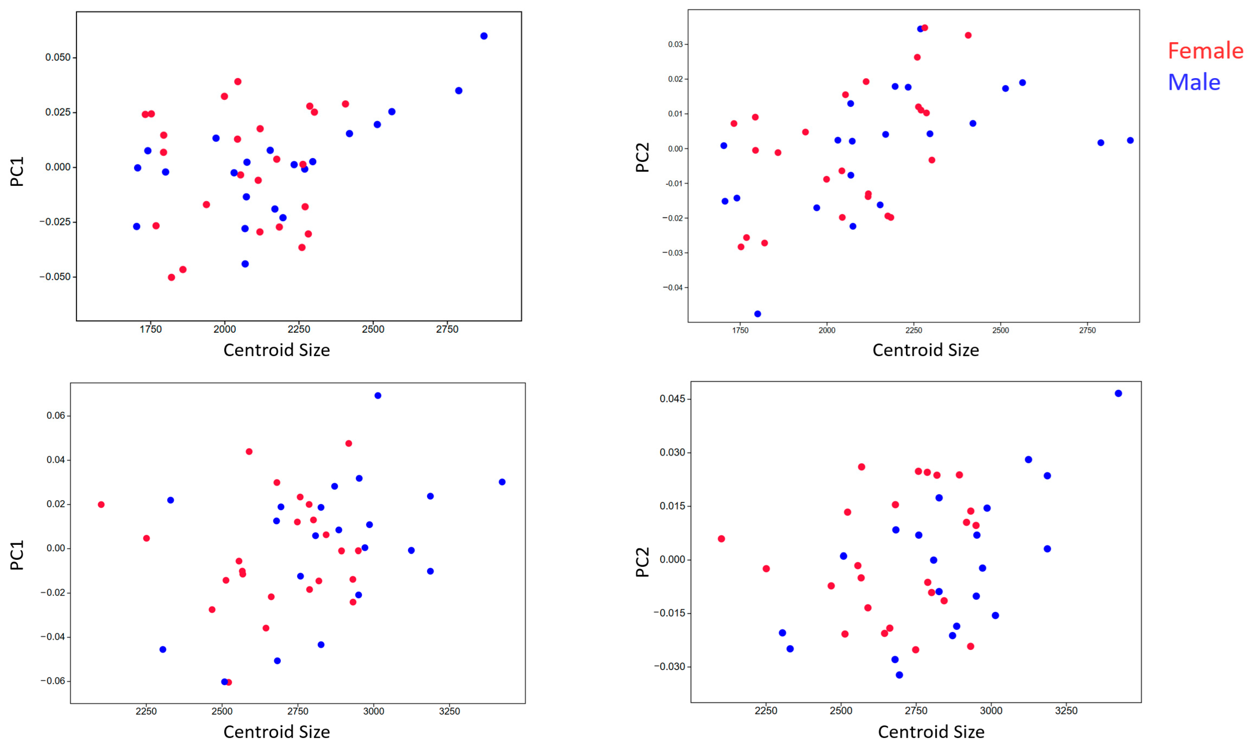 Animals 15 01312 g008