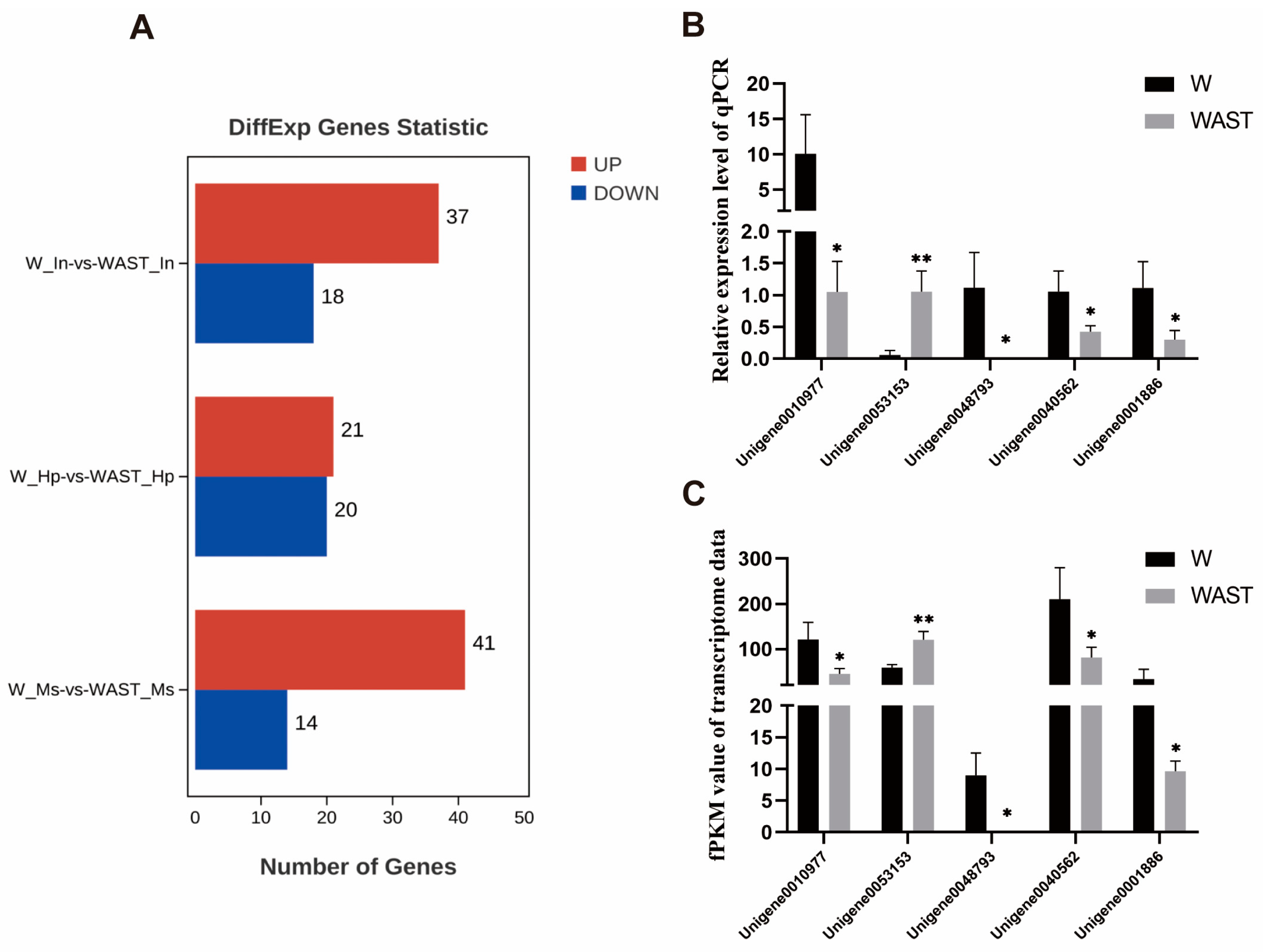 Animals 15 01314 g001