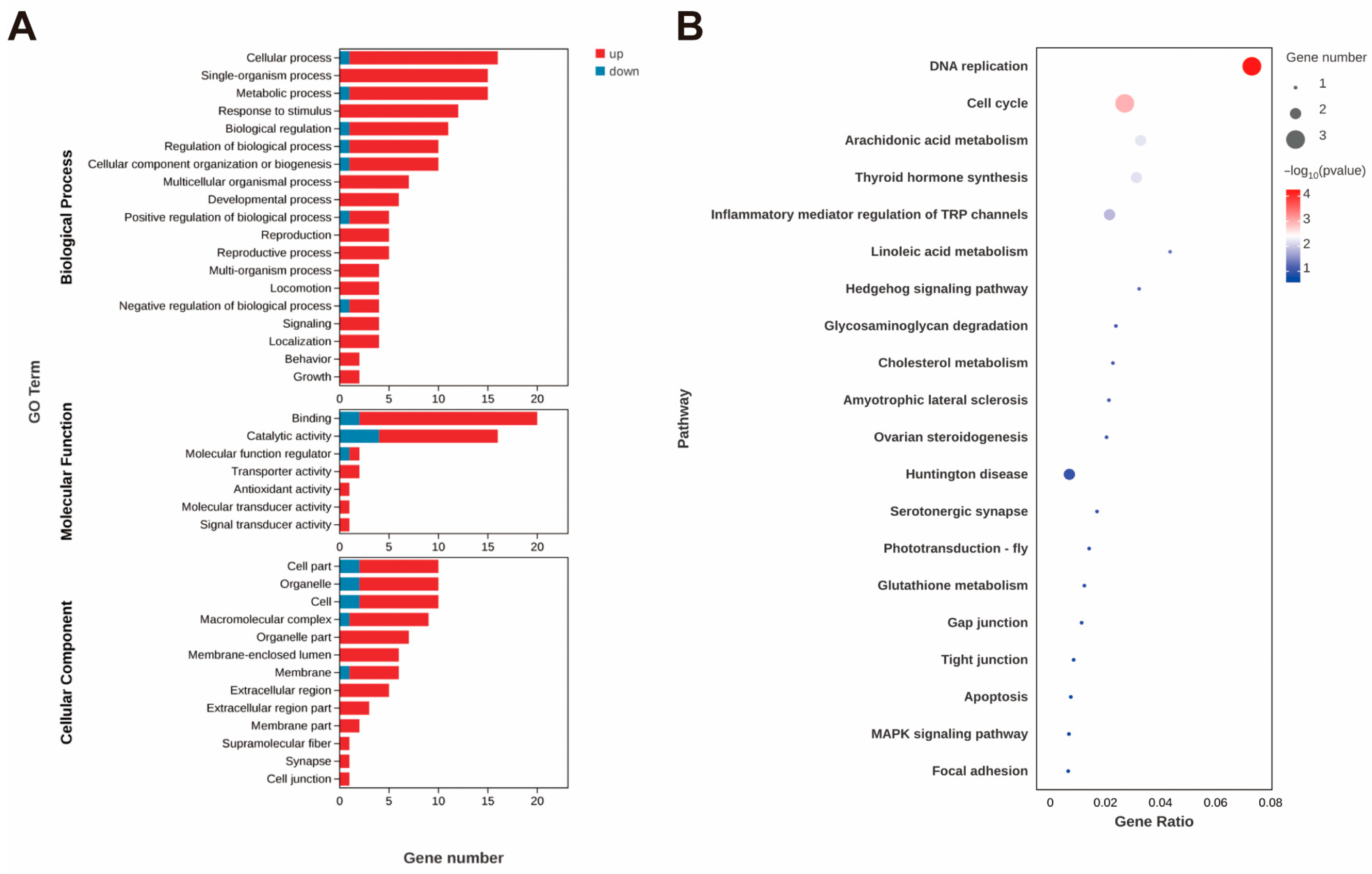 Animals 15 01314 g002